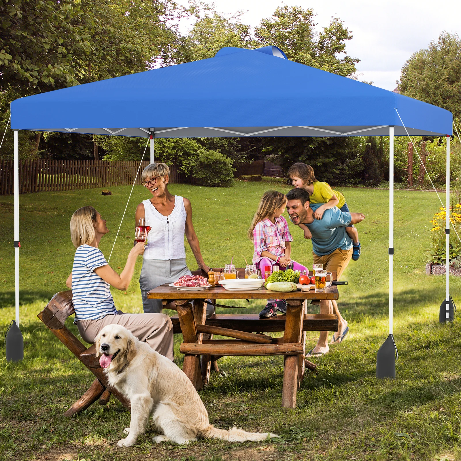 10 X 10 FT Pop Up Canopy Tent, With Sidewall And Wheeled Bag, Blue - Image 2