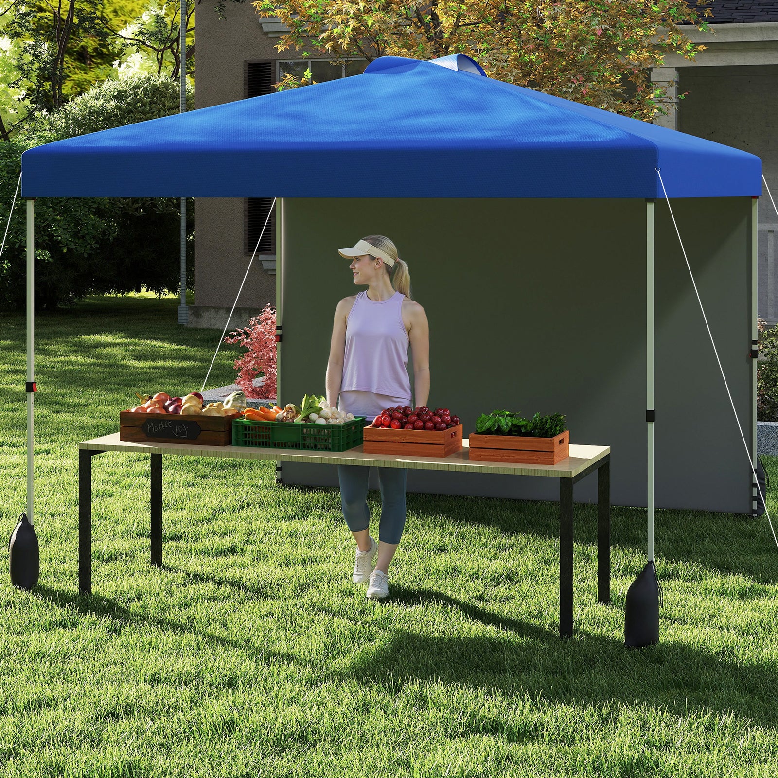 10 X 10 FT Pop Up Canopy Tent, With Sidewall And Wheeled Bag, Blue - Image 3
