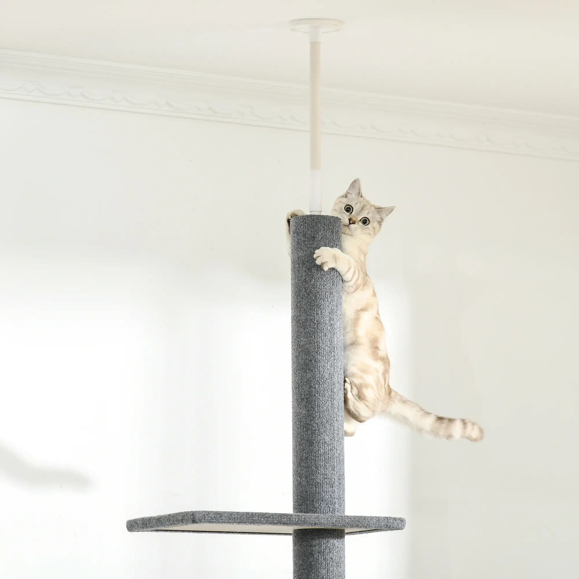 100 Cat Tree, 3 Perches Activity Center, Grey - Image 9