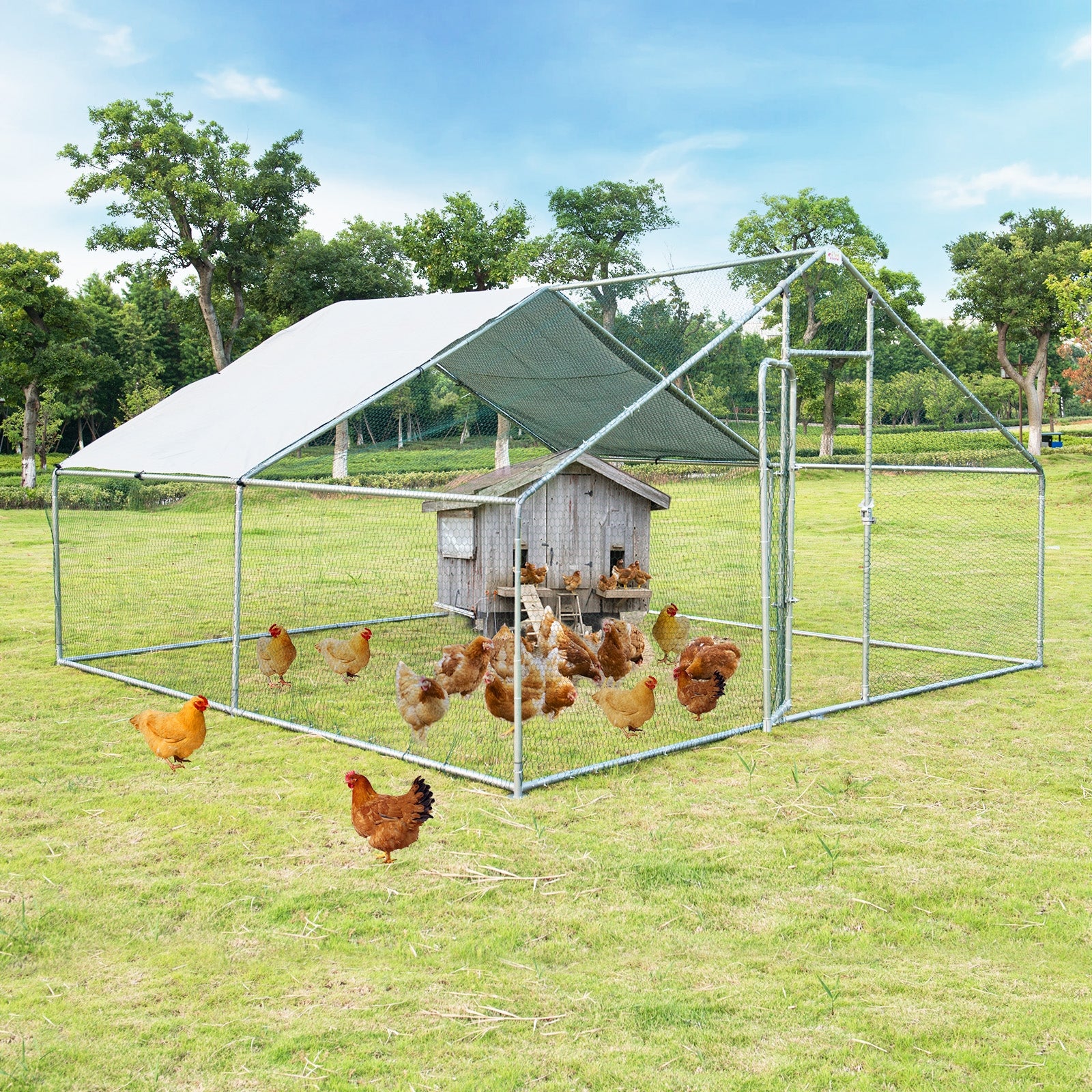 13 x 13 Feet Walk-In Chicken Coop, Waterproof Cover, White - Image 2