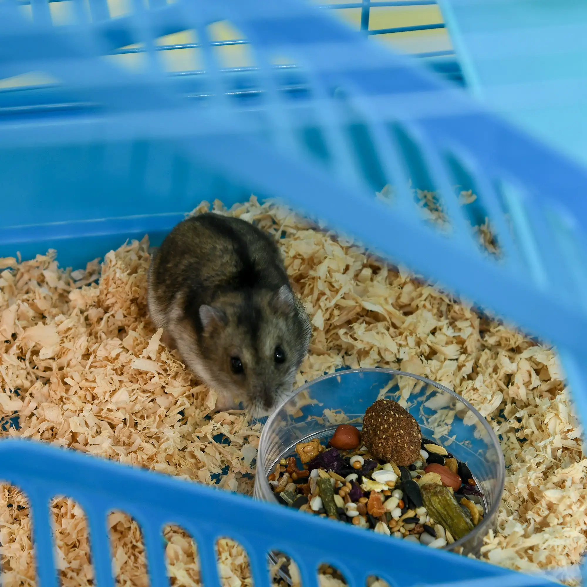 18.5" Hamster Cage, 5 Tiers, Tunnel Tube System, Exercise Wheel, Water Bottle, Blue - Image 10