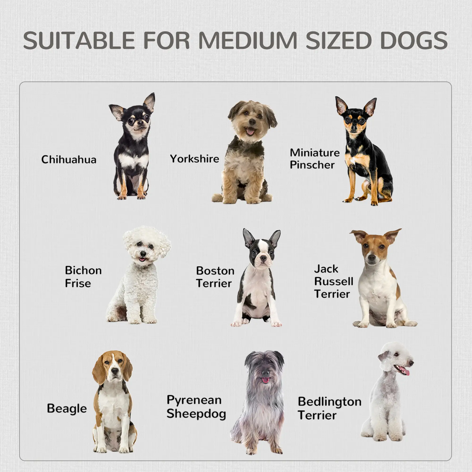 2-in-1 Dog Cage and Side Table, Two Lockable Doors, Medium Size, White - Image 7
