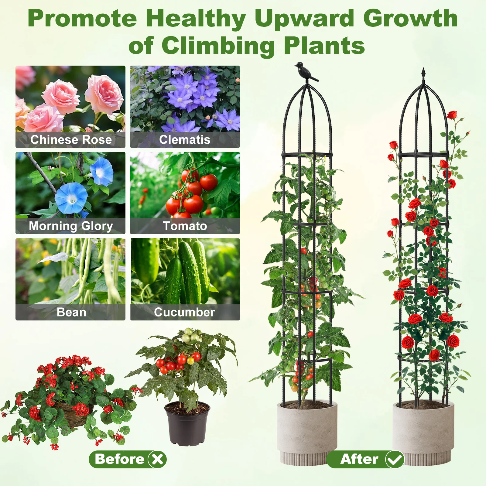 2-Pack Garden Obelisk Trellis For Climbing Plants, Black - Image 10