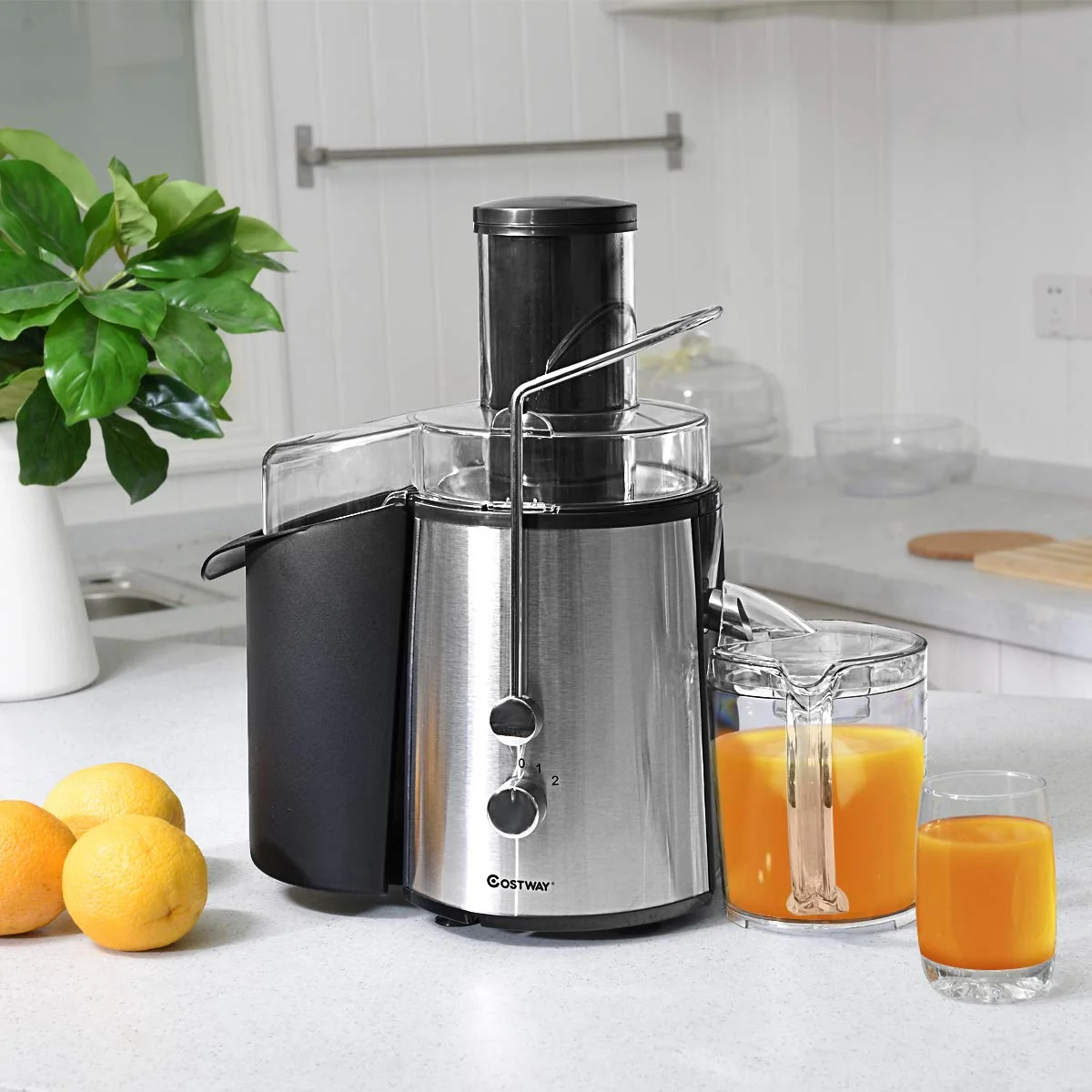 2 Speed Electric Juice Press, Fruit And Vegetable, Silver - Image 8