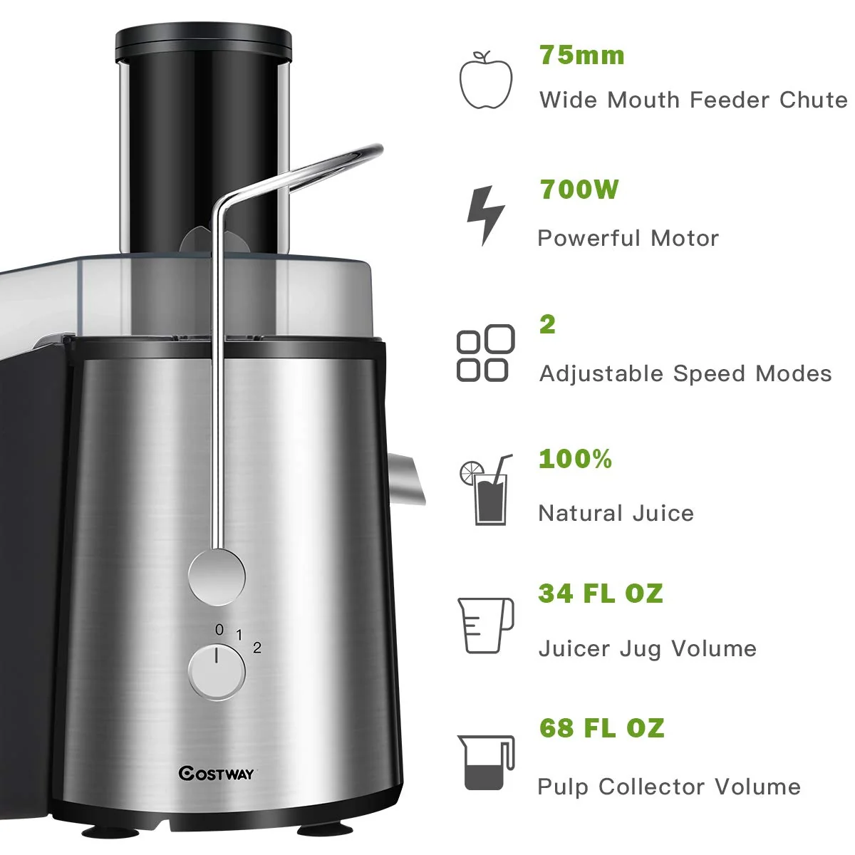 2 Speed Electric Juice Press, Fruit And Vegetable, Silver - Image 9