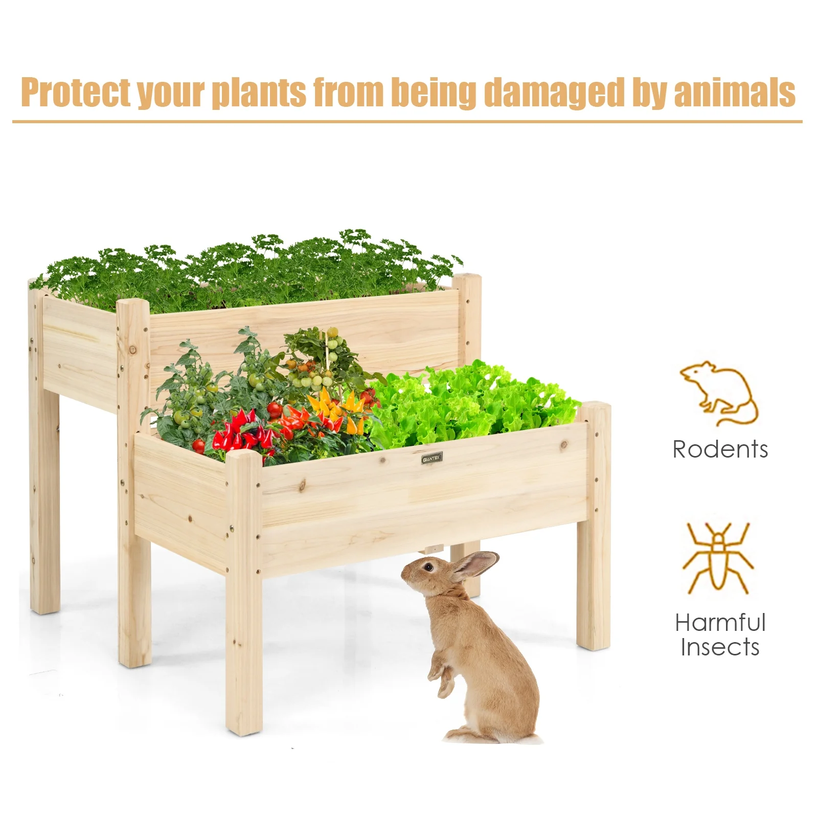 2 Tier Wooden Elevated Planter Box, Natural - Image 5