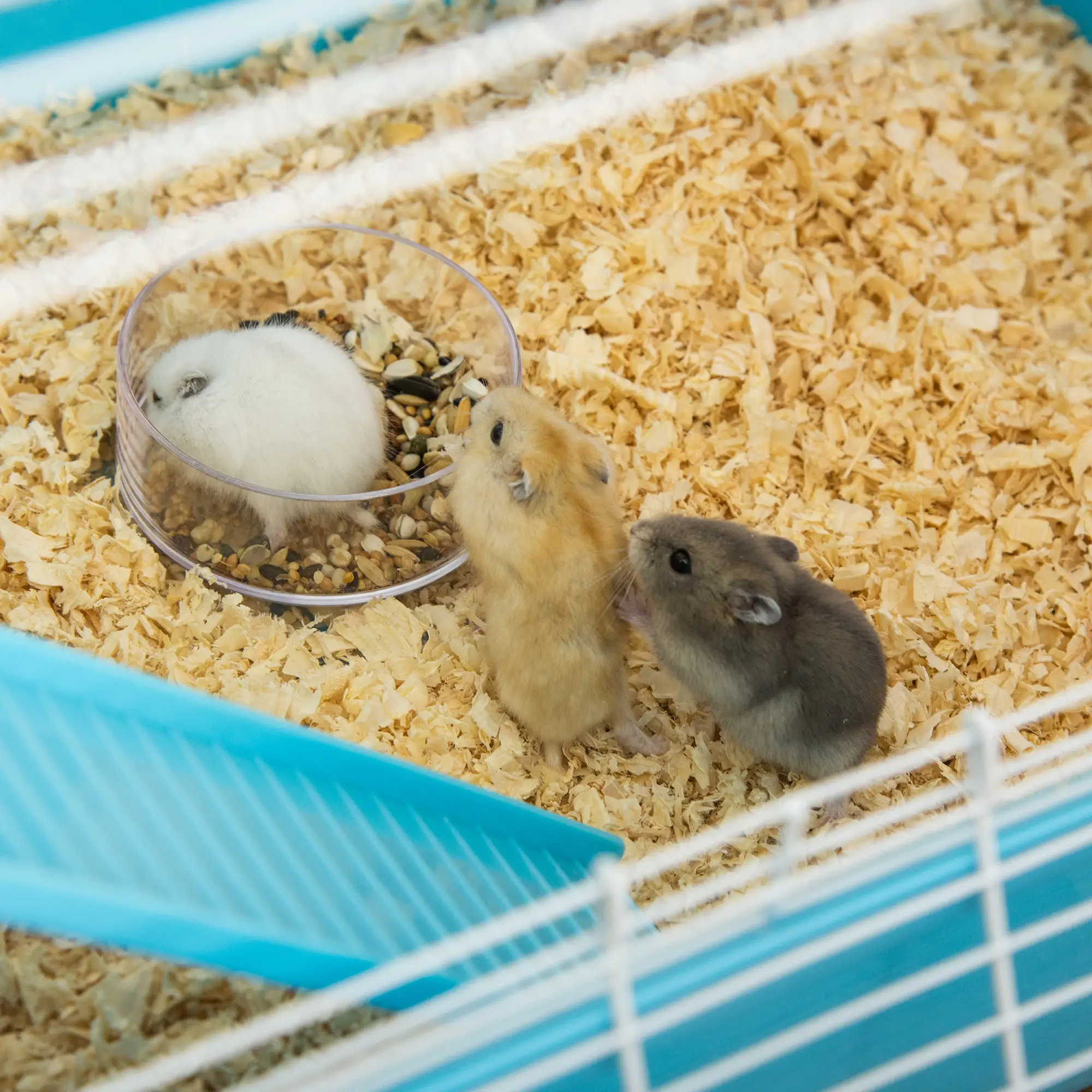 23" Large Hamster Cage, Small Animal House, 5-Level, Light Blue - Image 10