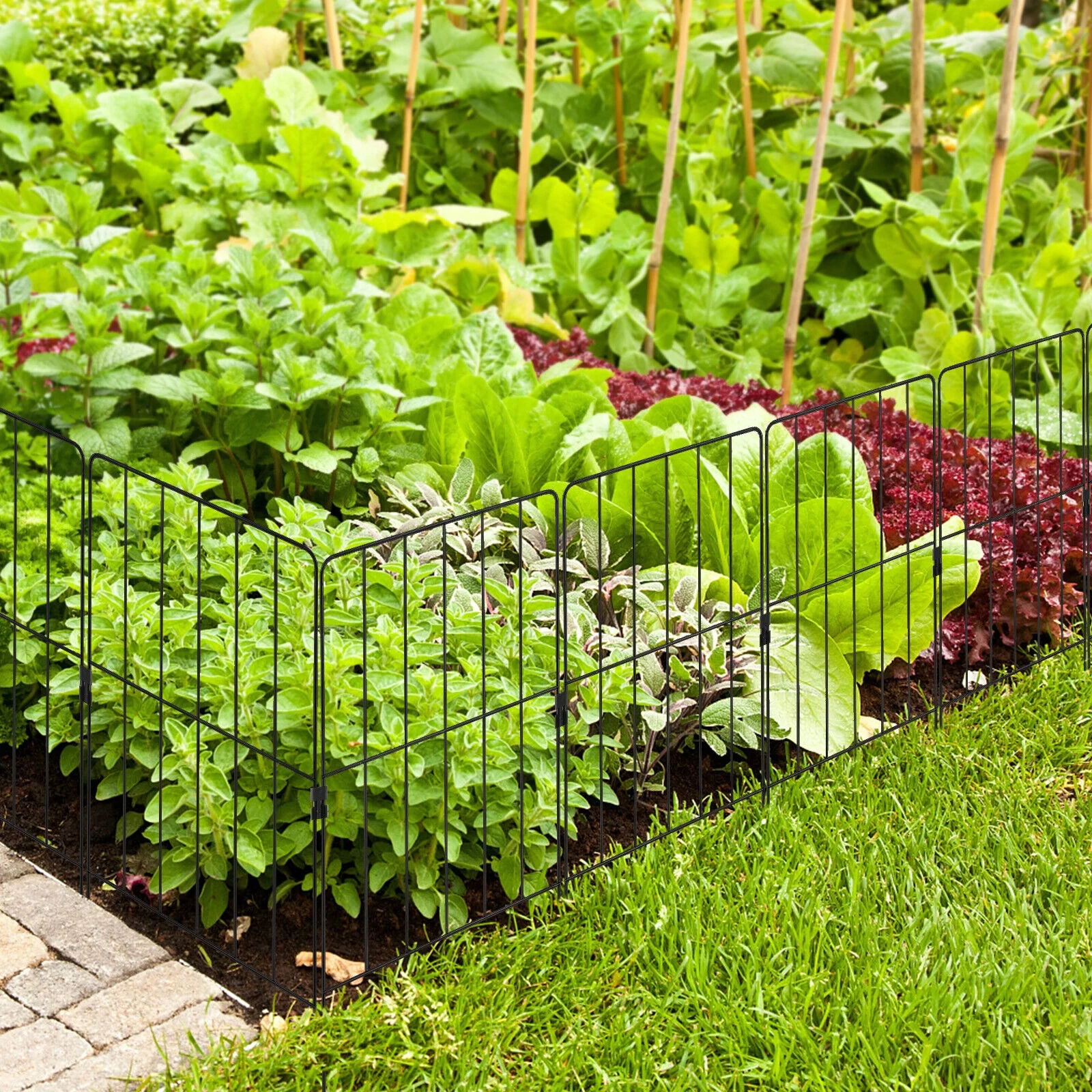 25 Pack Rustproof Decorative Garden Fence, Black - Image 6