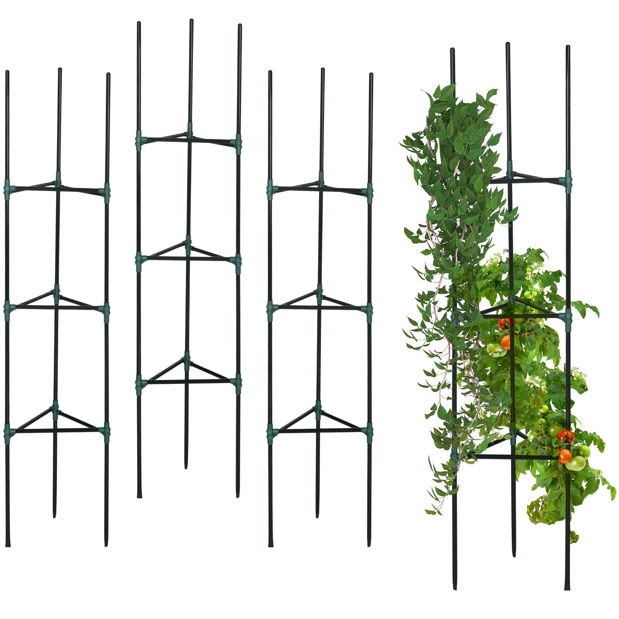 3 Pack Tomato Cage Set, 72 Inch, Plant Support Trellis, Dark Green - Image 11