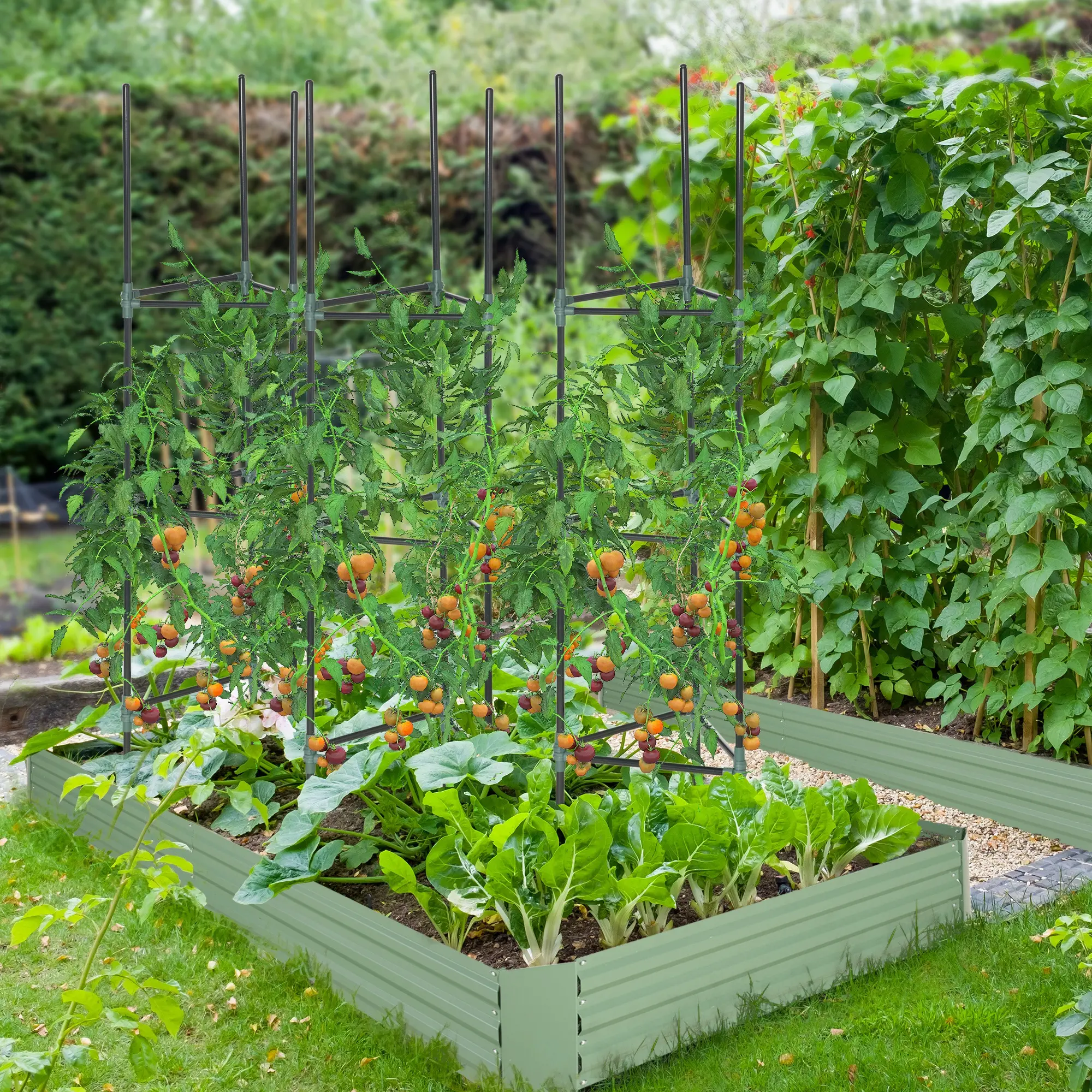 3 Pack Tomato Cage Set, 72 Inch, Plant Support Trellis, Dark Green - Image 2