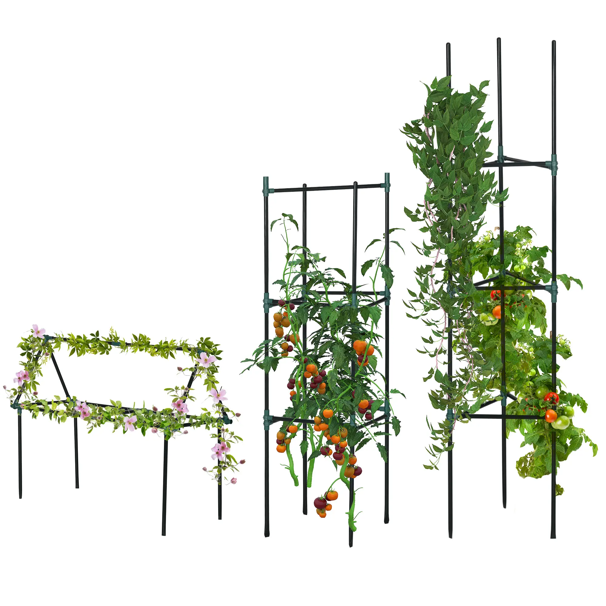 3 Pack Tomato Cage Set, 72 Inch, Plant Support Trellis, Dark Green - Image 7