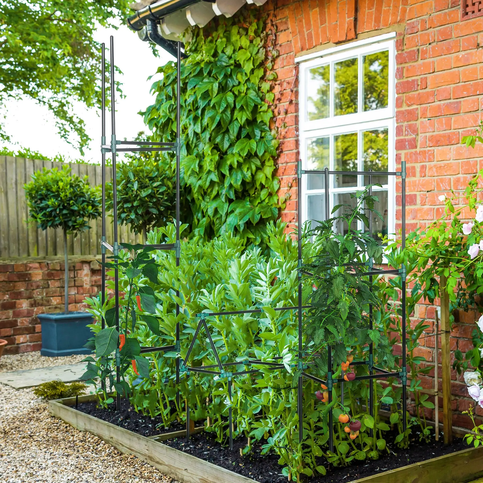 3 Pack Tomato Cage Set, 72 Inch, Plant Support Trellis, Dark Green - Image 8