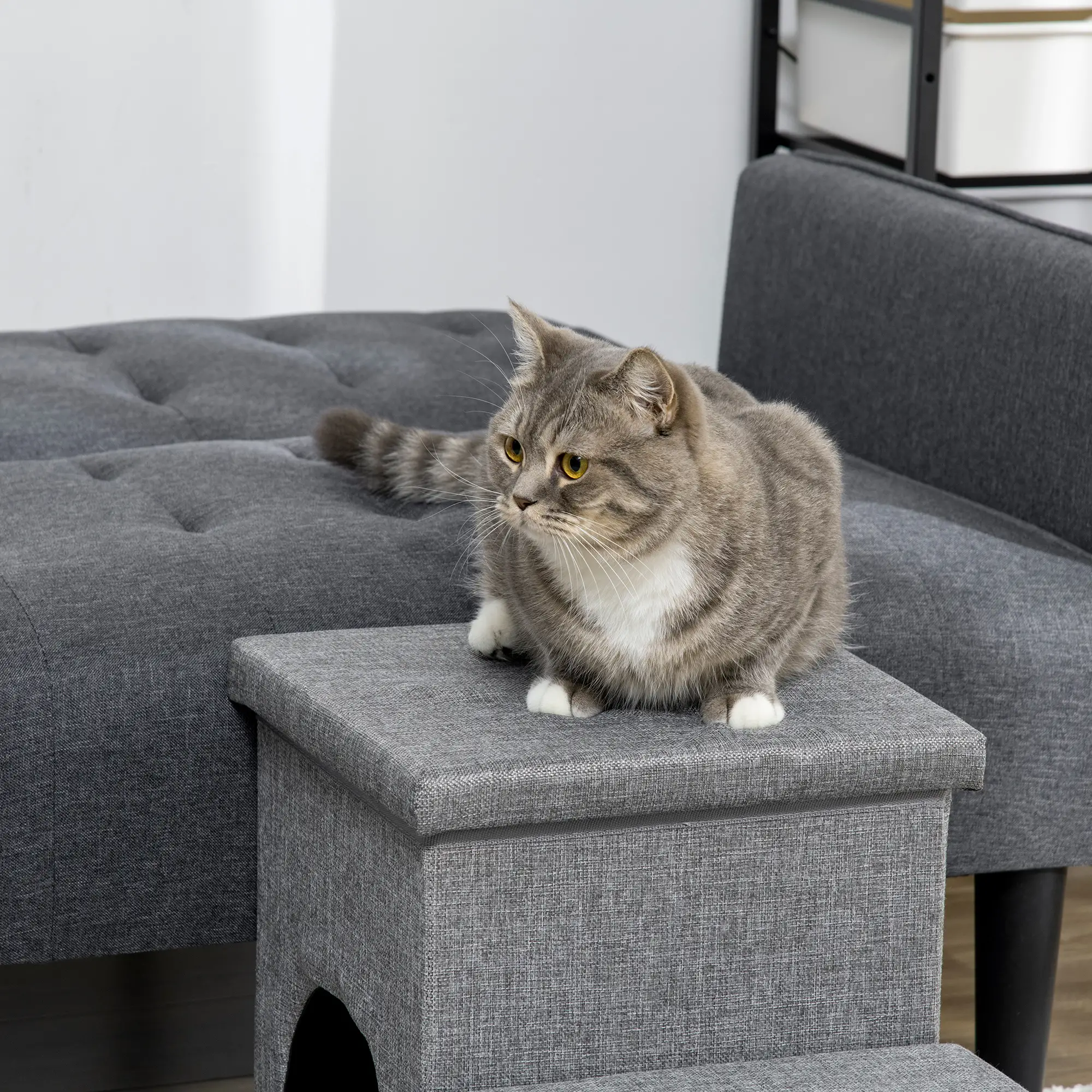 3-Step Dog Ramp with Storage, Washable Plush Cushion - Image 7
