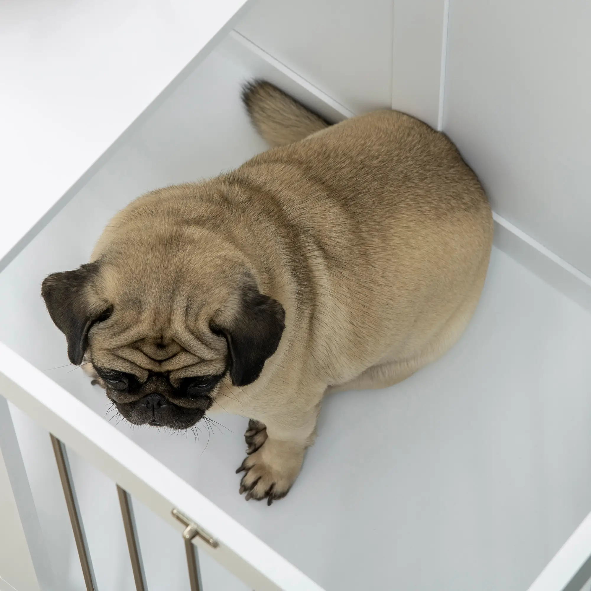 31.5" Dog Crate Furniture, Double Doors, Medium Dogs, White - Image 10