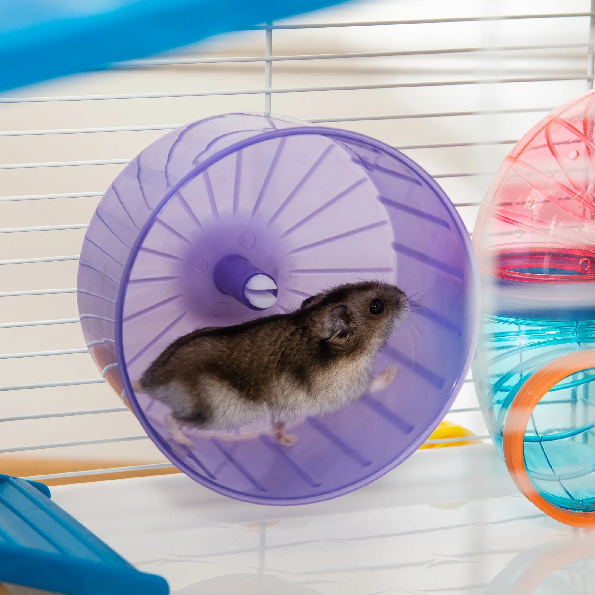 31" Large Hamster Cage, Small Animal House, Tunnel Tube System, Black - Image 8