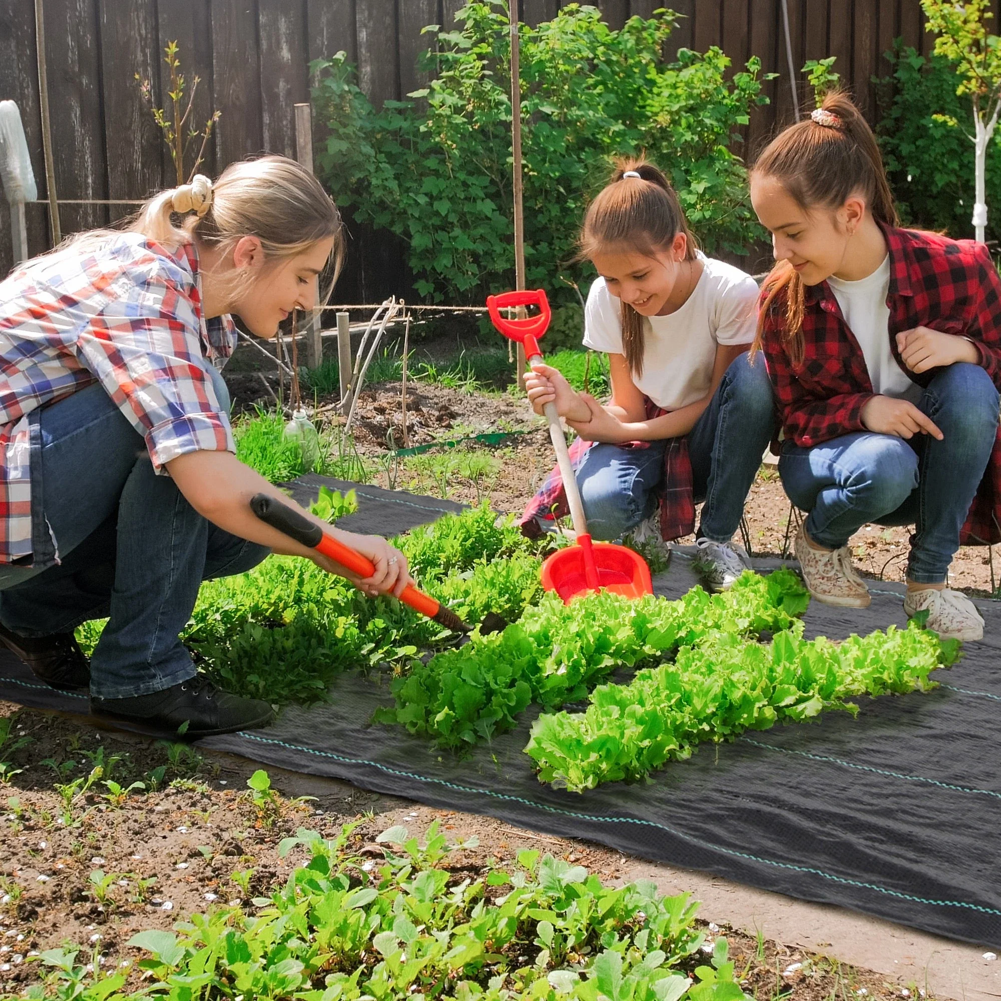 3ft x 164ft Weed Barrier, Landscape Fabric, Heavy-Duty, 2oz - Image 2
