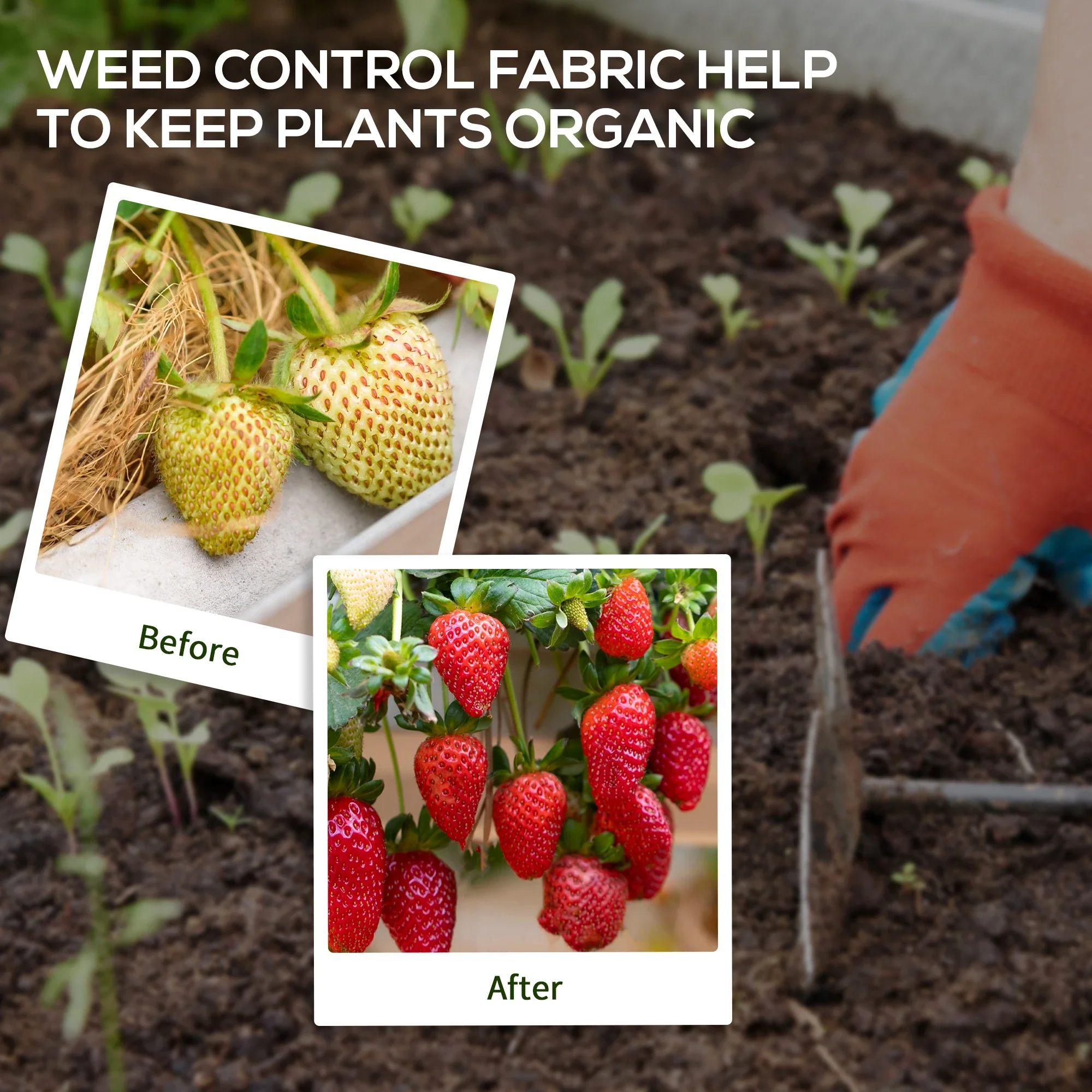 3ft x 300ft Weed Barrier, Landscape Fabric, Greenhouse Garden, 3.5oz - Image 6