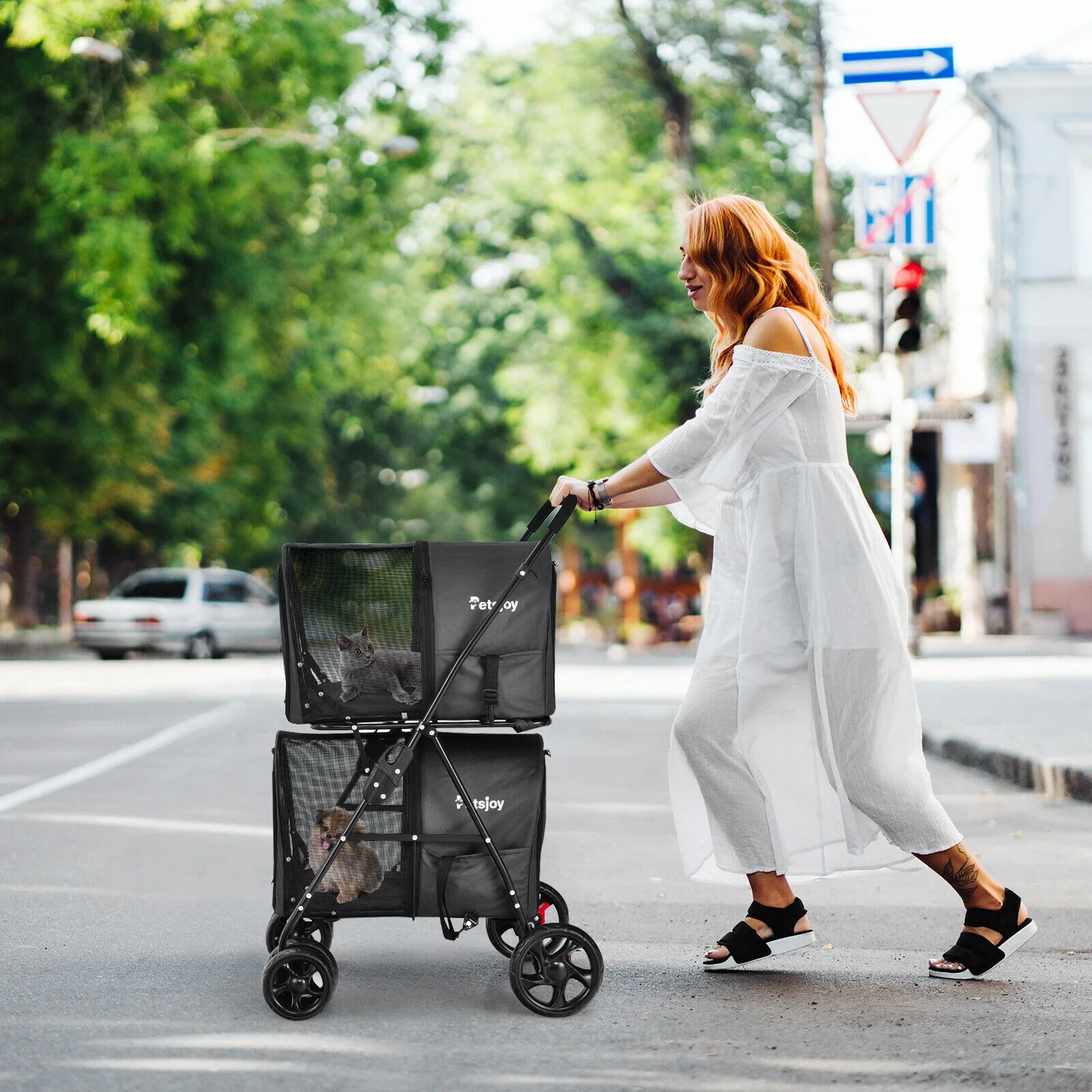 4-In-1 Double Pet Stroller, Detachable Carrier, Travel Carriage, Black - Image 2
