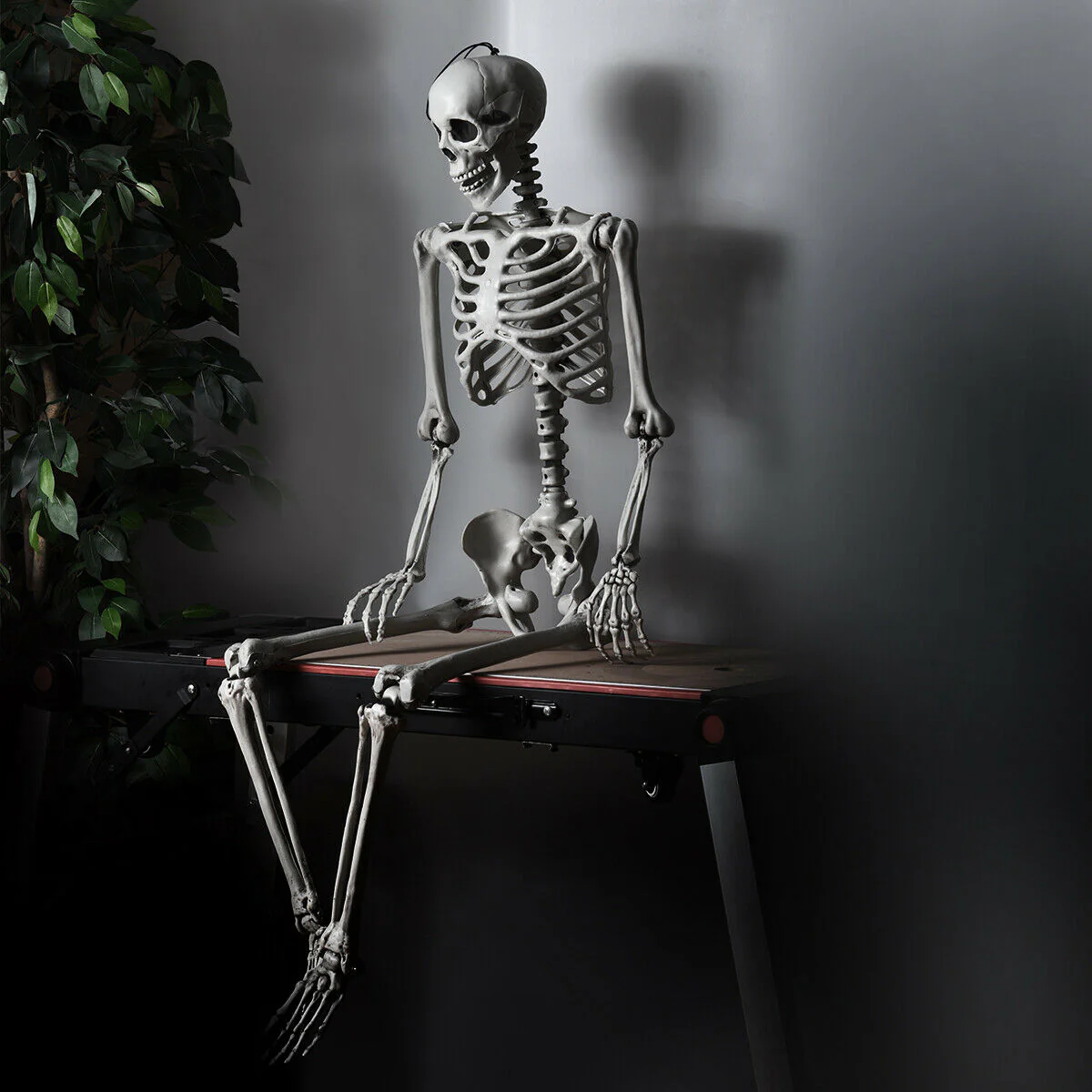5.4 Feet Halloween Skeleton, Life Size, Realistic Full Body, White - Image 2