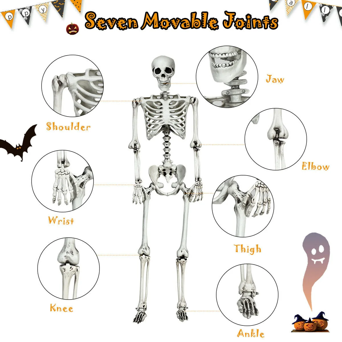 5.4 Feet Halloween Skeleton, Life Size, Realistic Full Body, White - Image 6