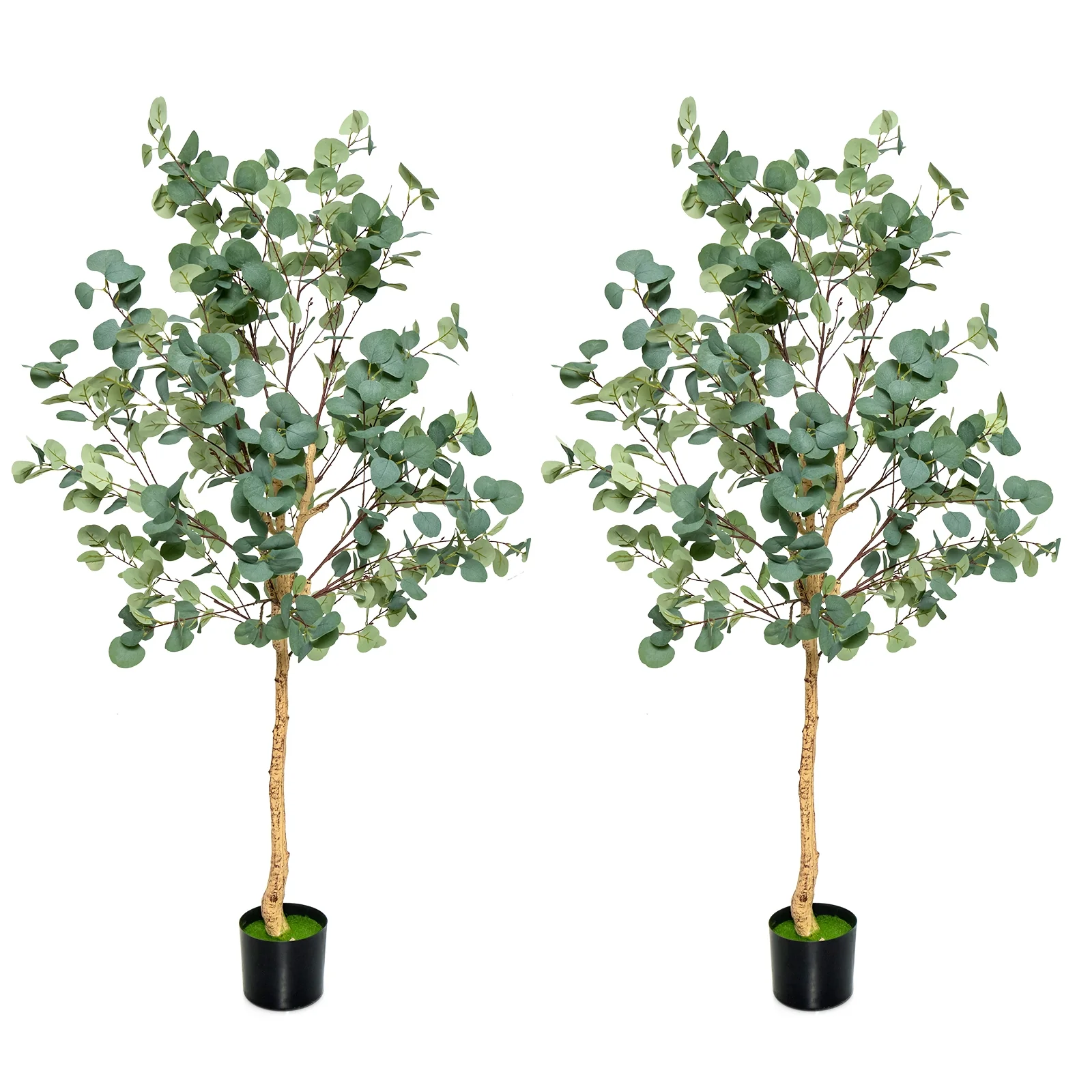 5.5 Feet Artificial Eucalyptus Tree, 517 Silver Dollar Leaves, 2 Piece