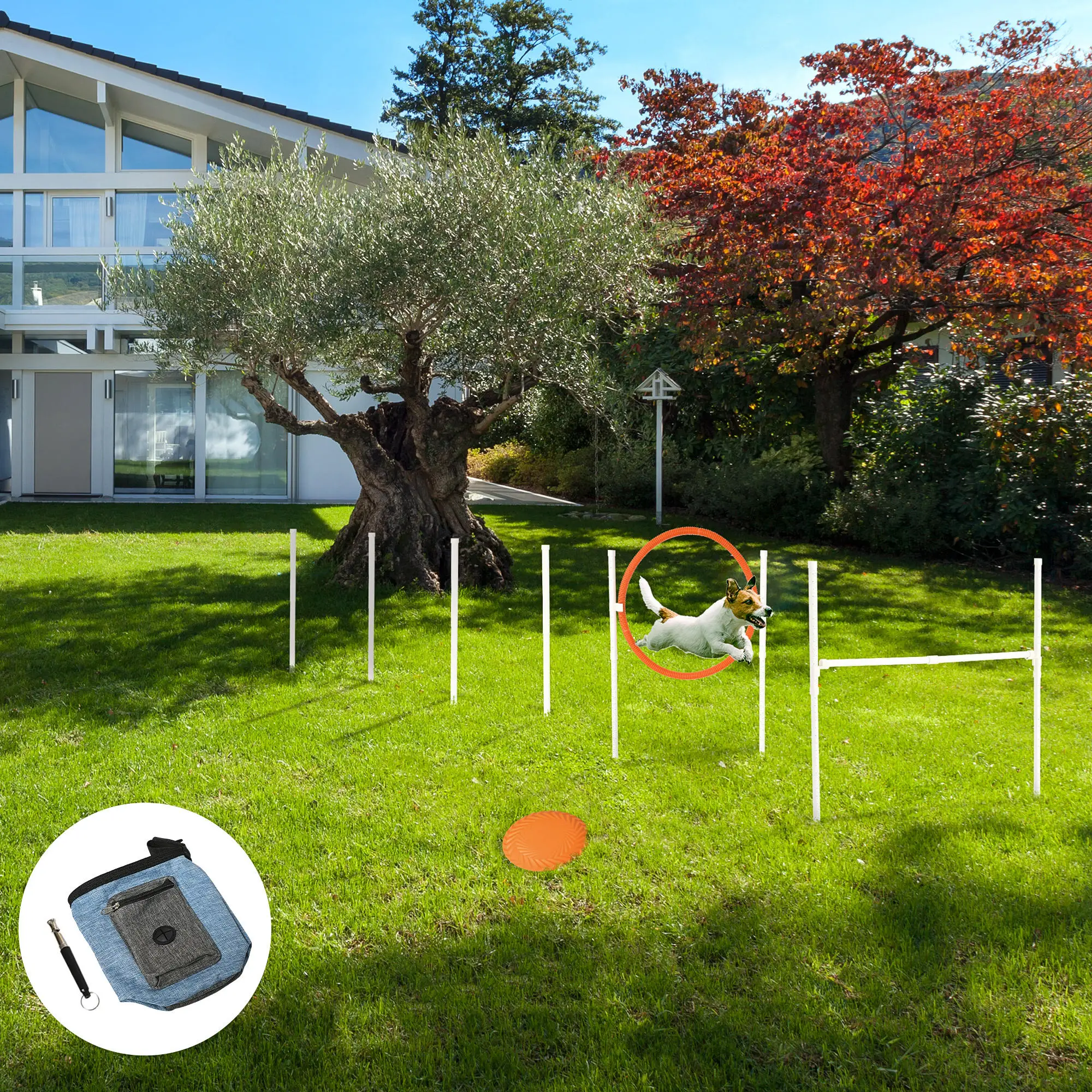 5 Pcs Dog Agility Training Set, Disc, Whistle, Weave Poles, Jump Poles, Food Bag, Carry Bag - Image 8