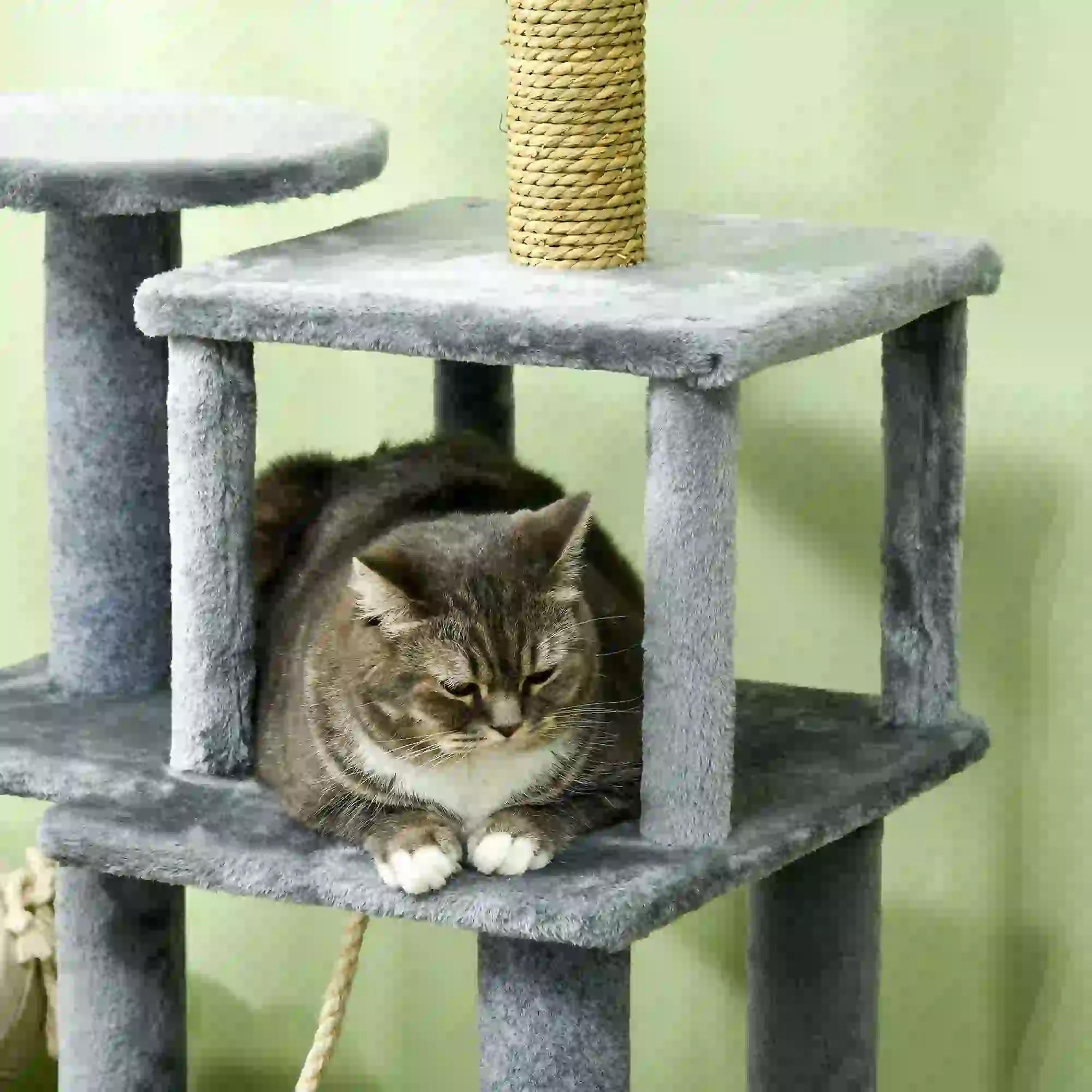 54" Cat Tree for Large Cats, Hammock, Scratching Post, Condo, Grey - Image 10
