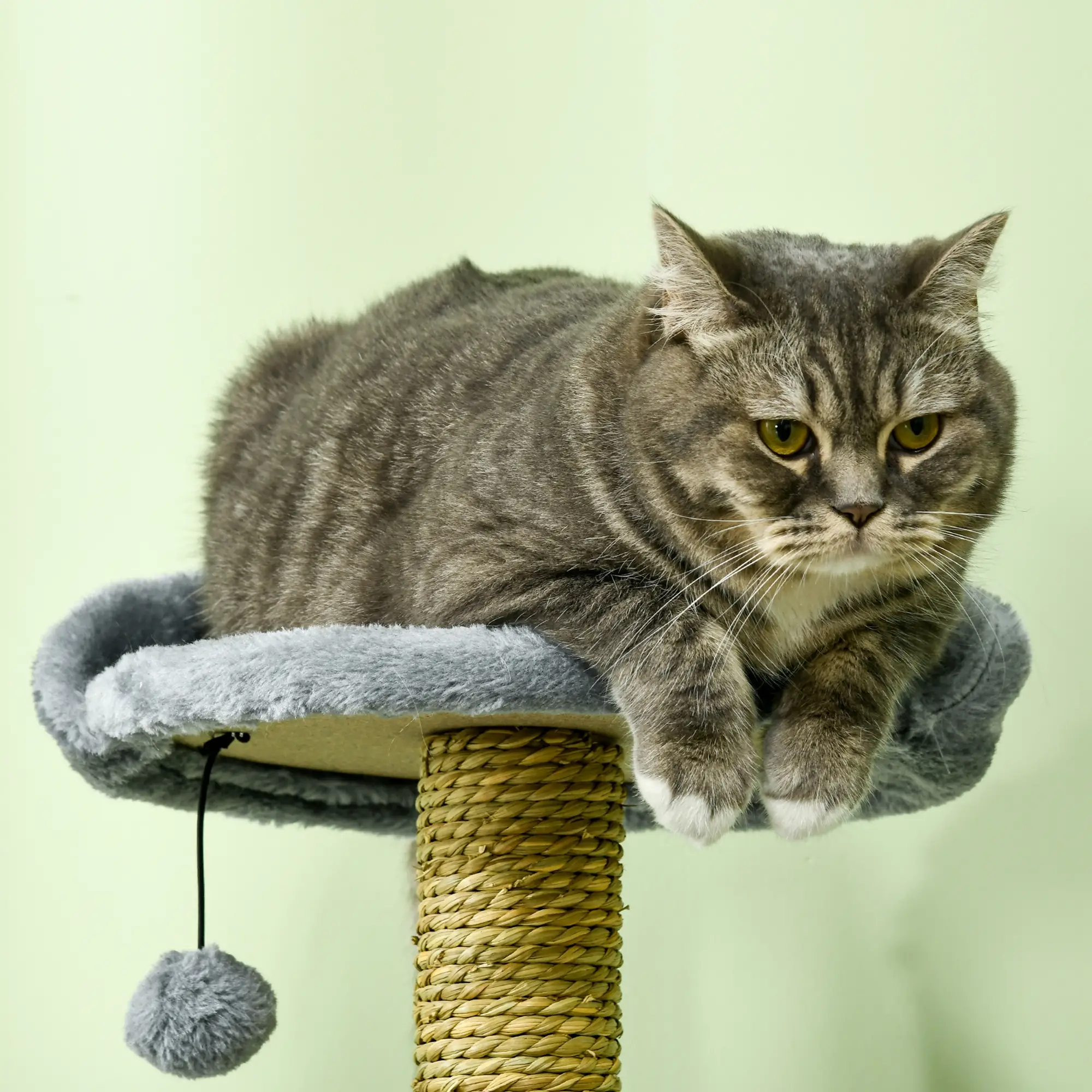 54" Cat Tree for Large Cats, Hammock, Scratching Post, Condo, Grey - Image 9
