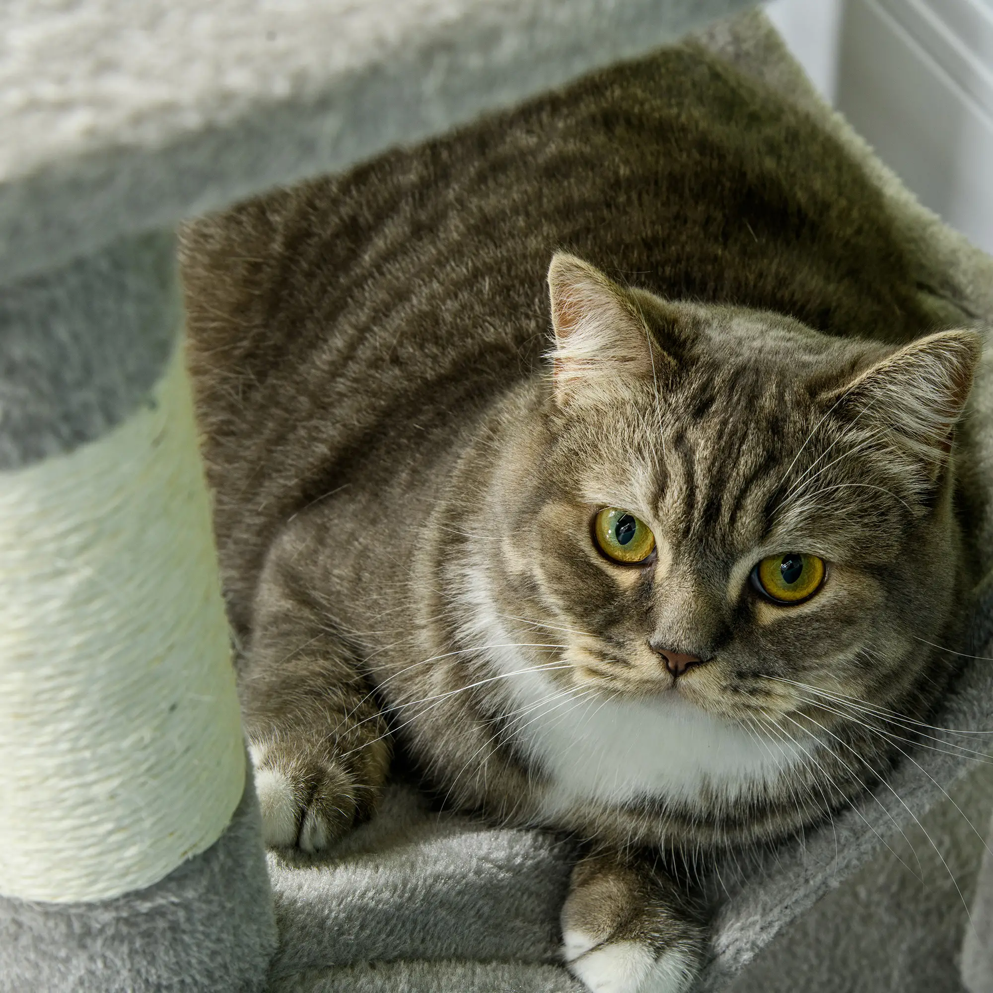 56" Tall Cat Tree, Multi-Level Tower with Hammock, Bed, Condo, Sisal Scratching Posts, Grey - Image 9
