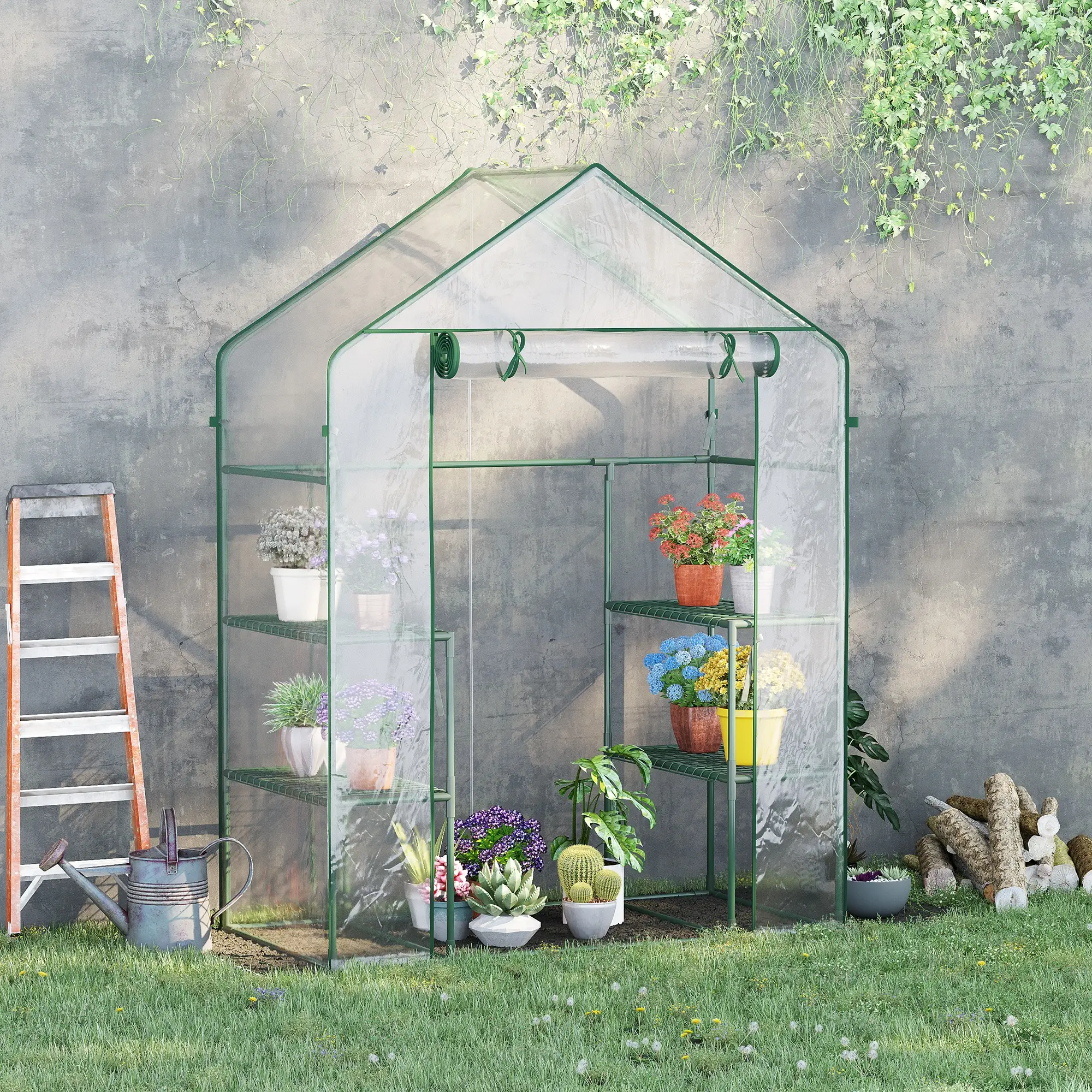 56" x 29" x 77" Walk-In Greenhouse, 4 Shelves, Roll-Up Door, Clear - Image 2
