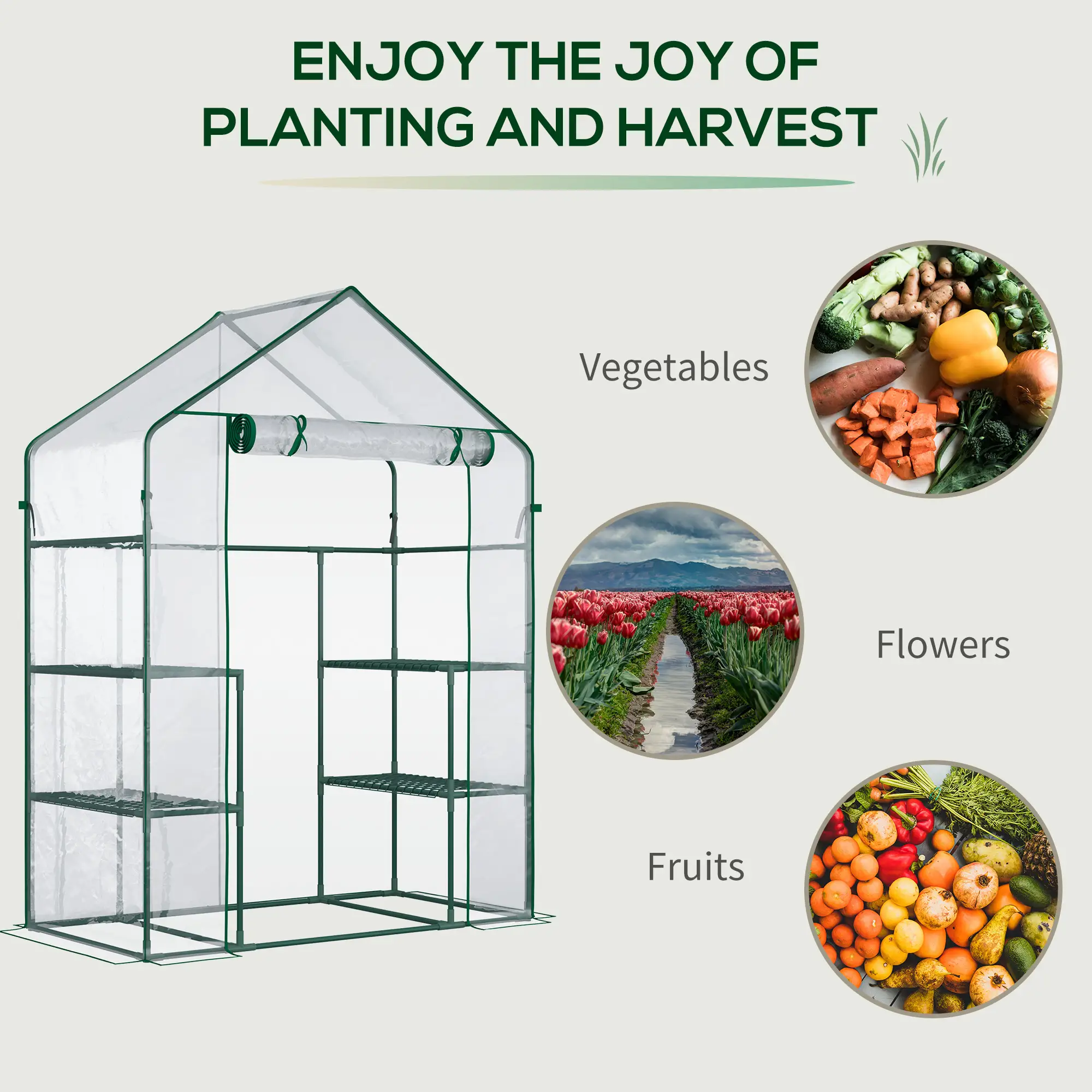 56" x 29" x 77" Walk-In Greenhouse, 4 Shelves, Roll-Up Door, Clear - Image 7