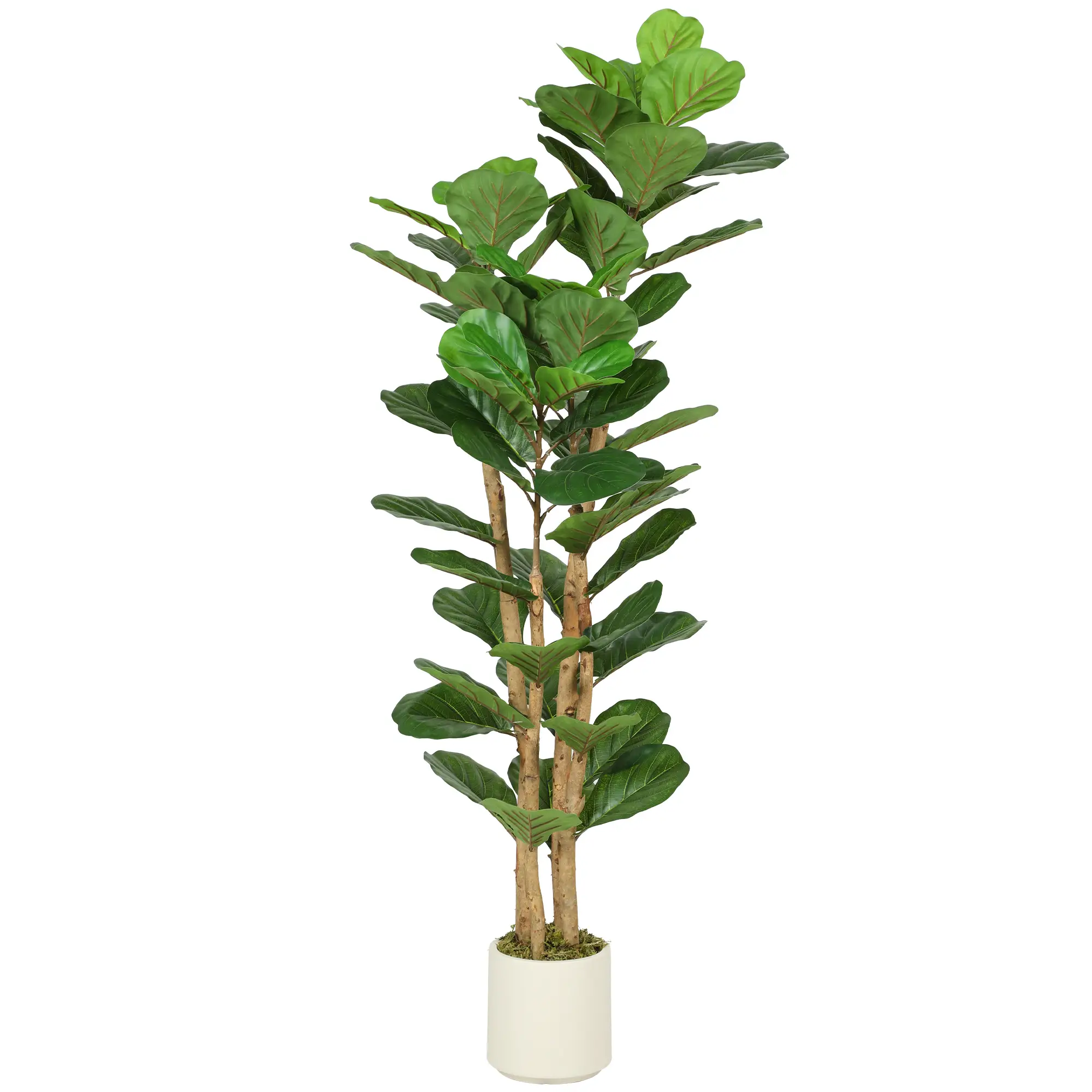 5FT Artificial Fiddle Leaf Fig Tree, Fake Potted Tree, Indoor Decor, Green - Image 11