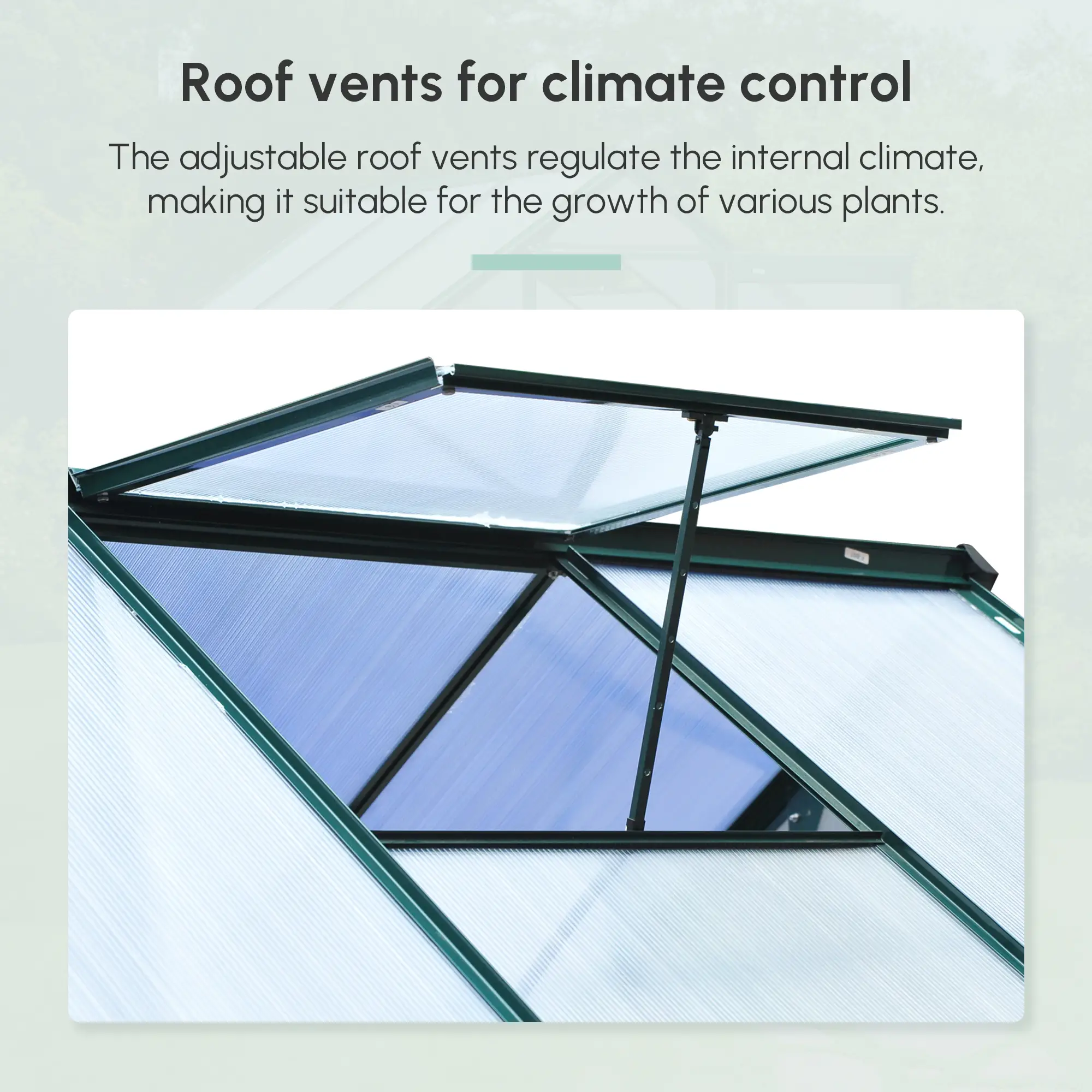 6.2' x 6.3' x 6.6' Clear Polycarbonate Greenhouse, Galvanized Frame, Slide Door - Image 8