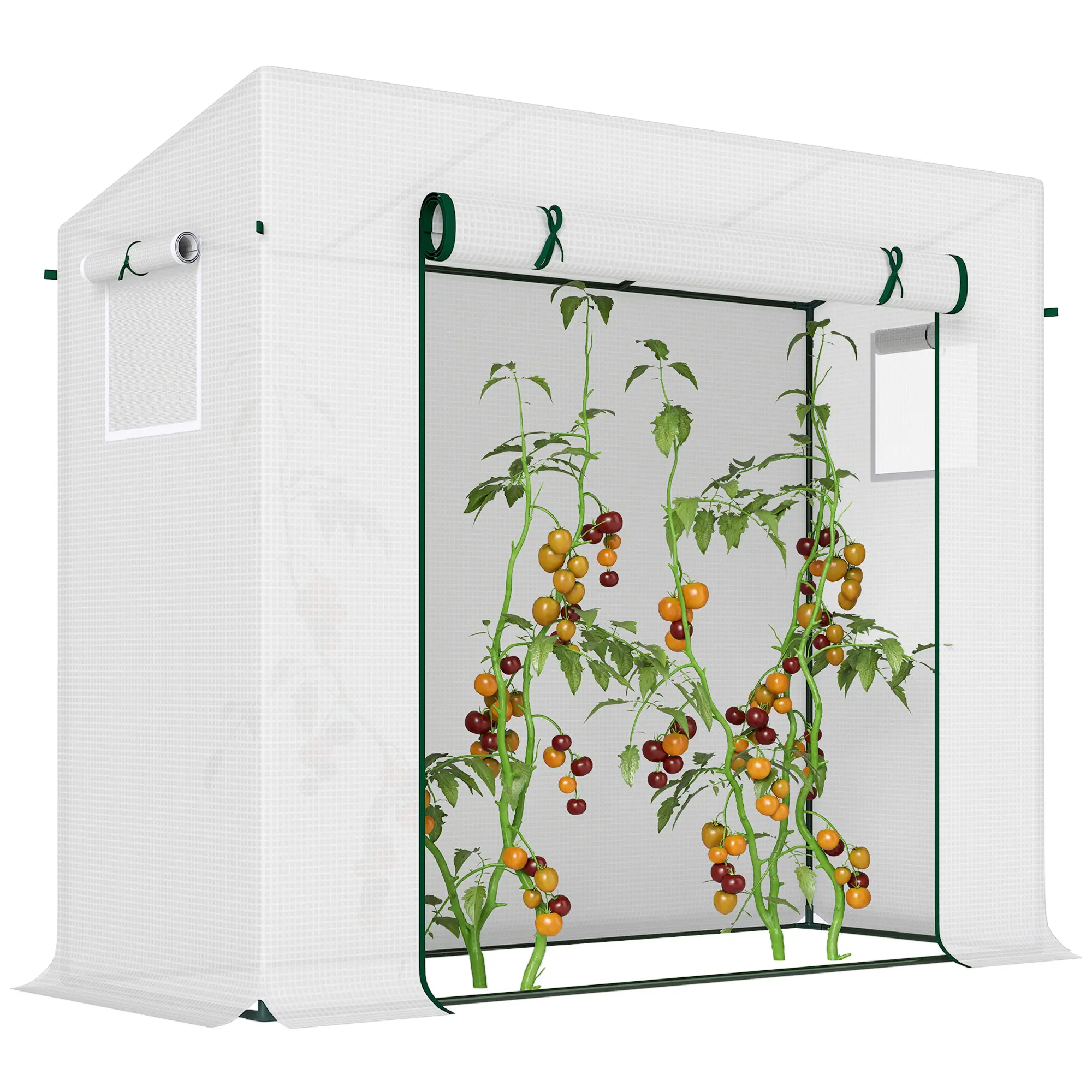 6.6' x 2.5' x 5.5' Walk-In Greenhouse, Steel Frame, White