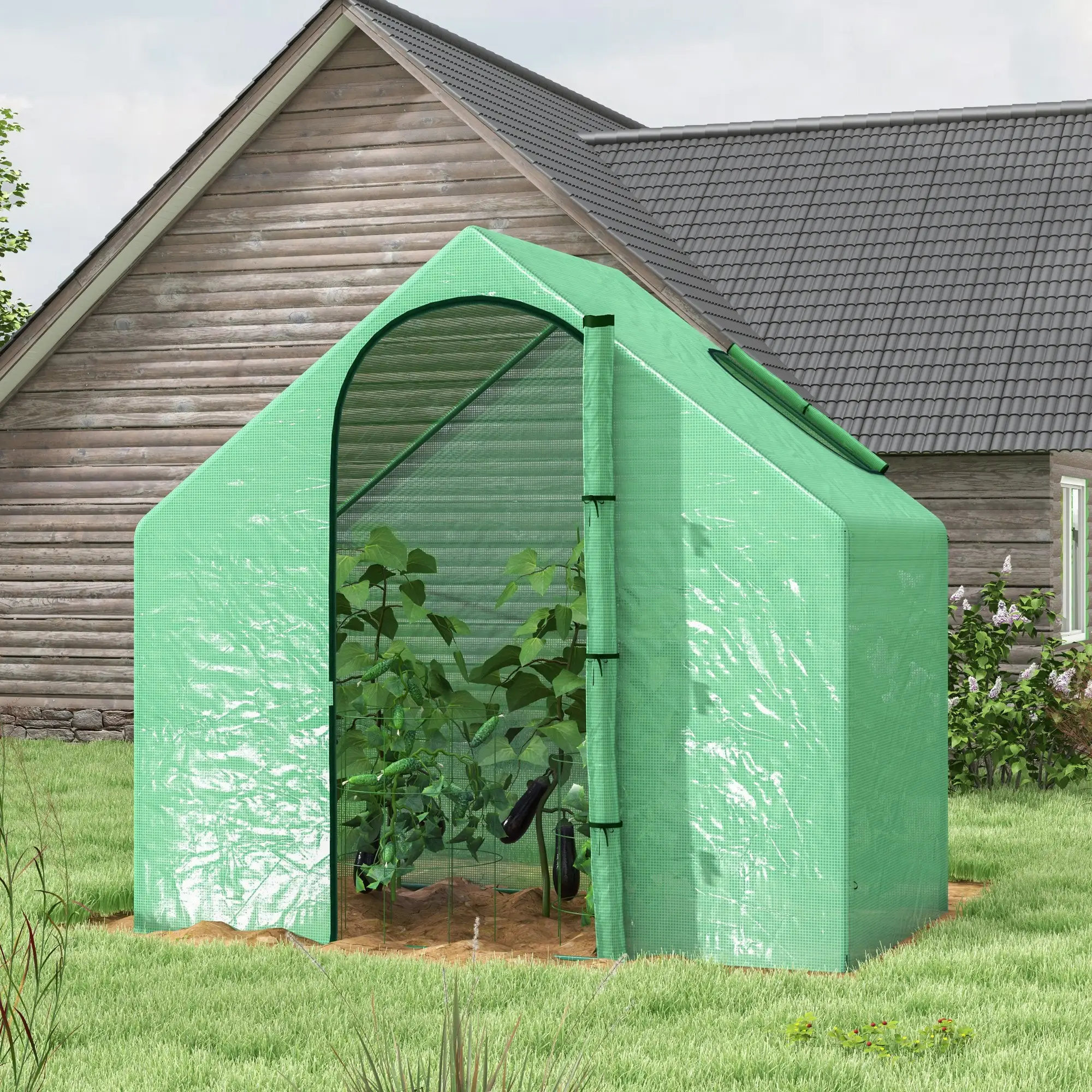 6 x 3.3 x 5.5ft Walk-in Greenhouse, Portable Mini for Plants, Steel Frame, PE Cover - Image 2