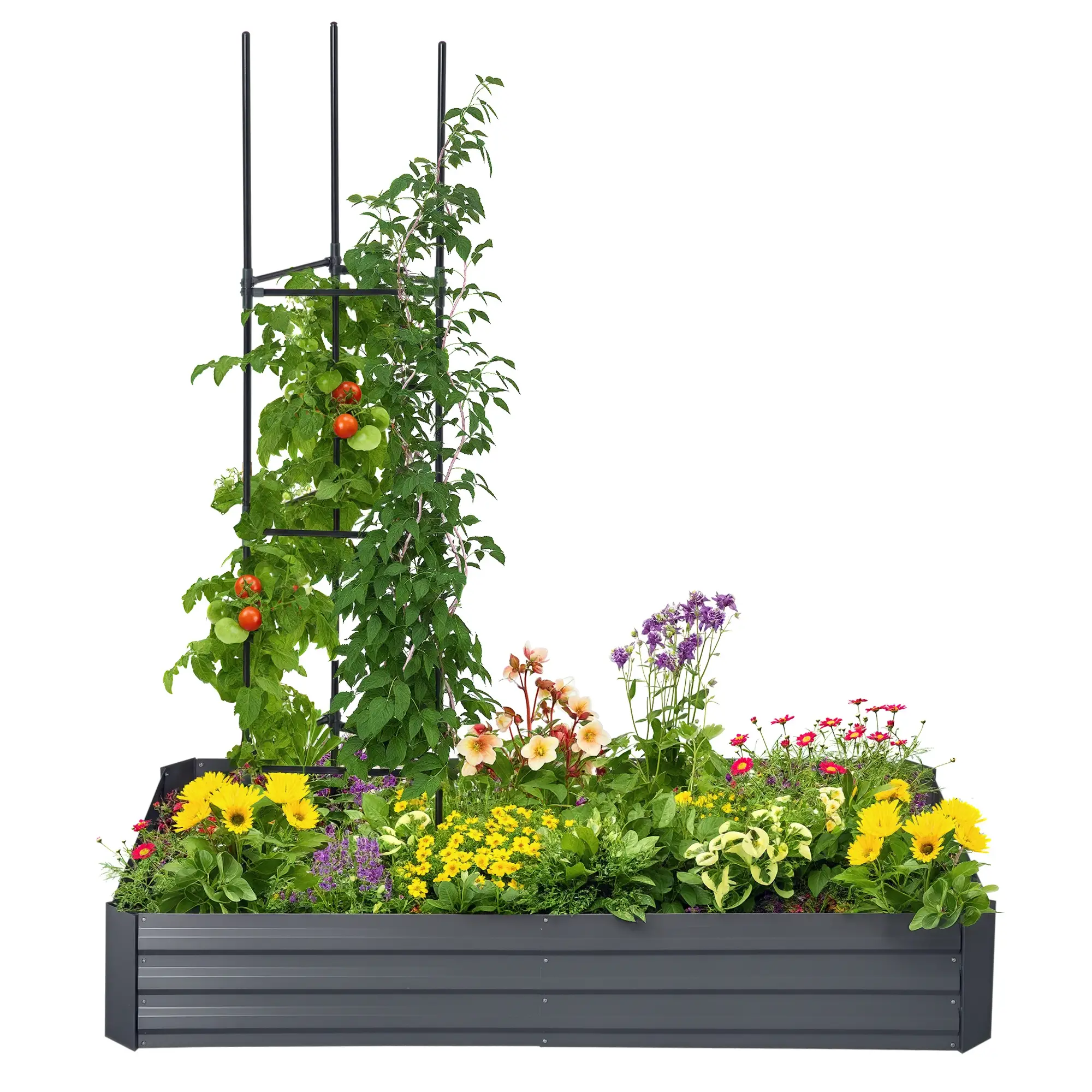 6' x 3' x 1' Raised Garden Bed, 2 Trellis Tomato Cages, Steel Frame, Dark Grey - Image 11