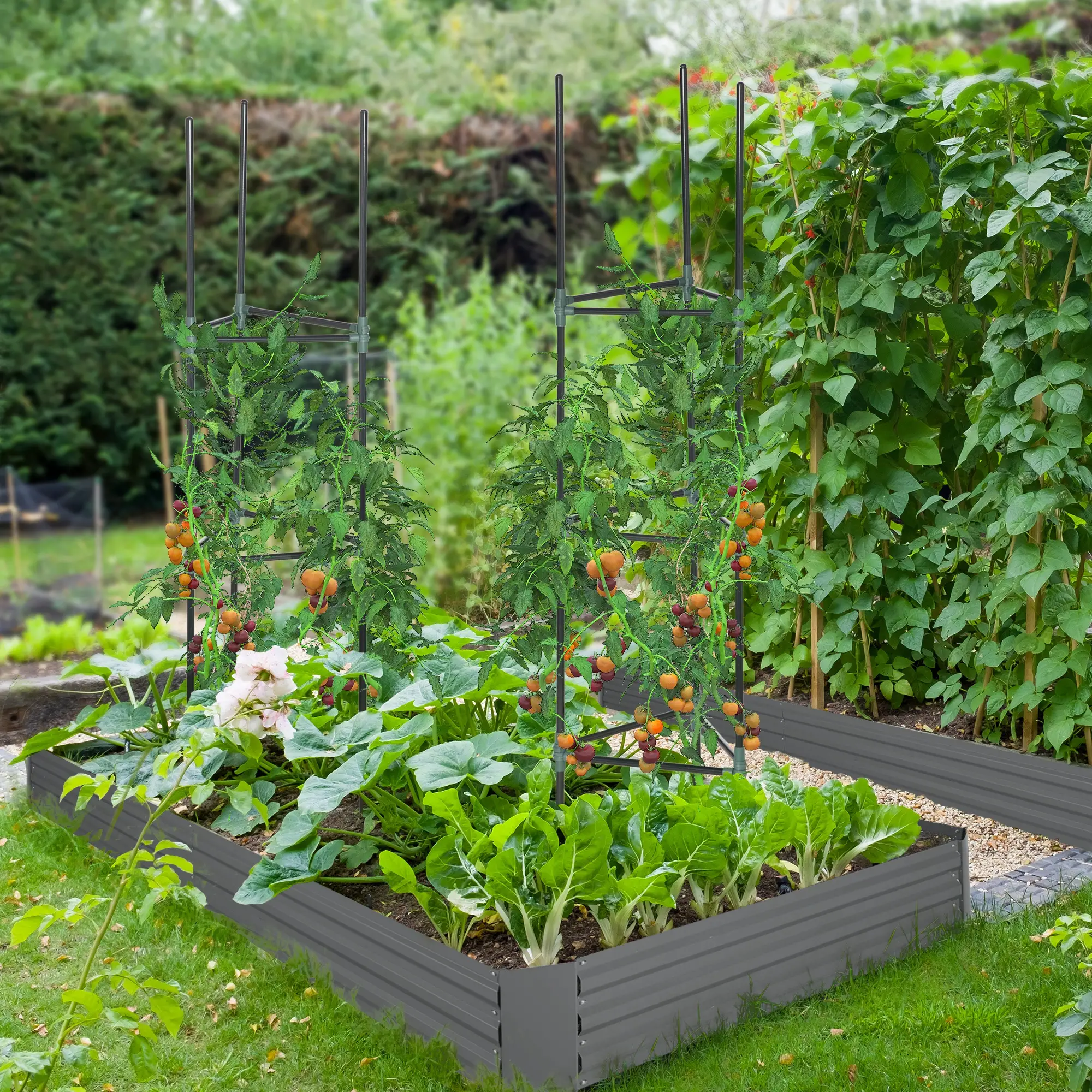 6' x 3' x 1' Raised Garden Bed, 2 Trellis Tomato Cages, Steel Frame, Dark Grey - Image 2