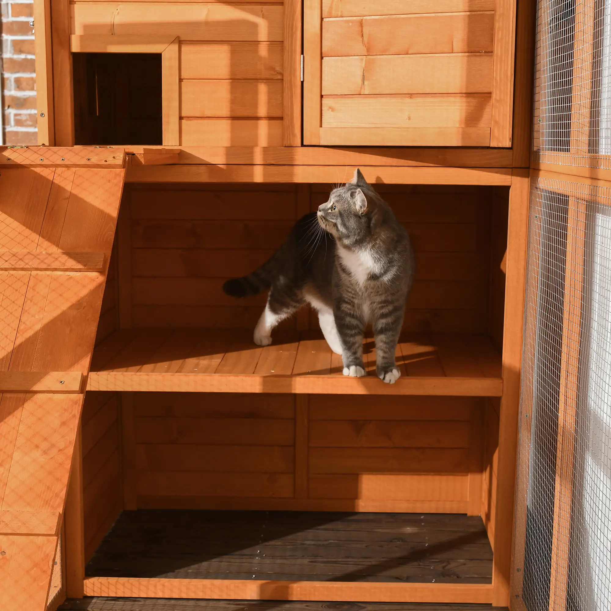68.75" H Large Wooden Outdoor Cat House with Run, Catio, Condo, Natural - Image 10