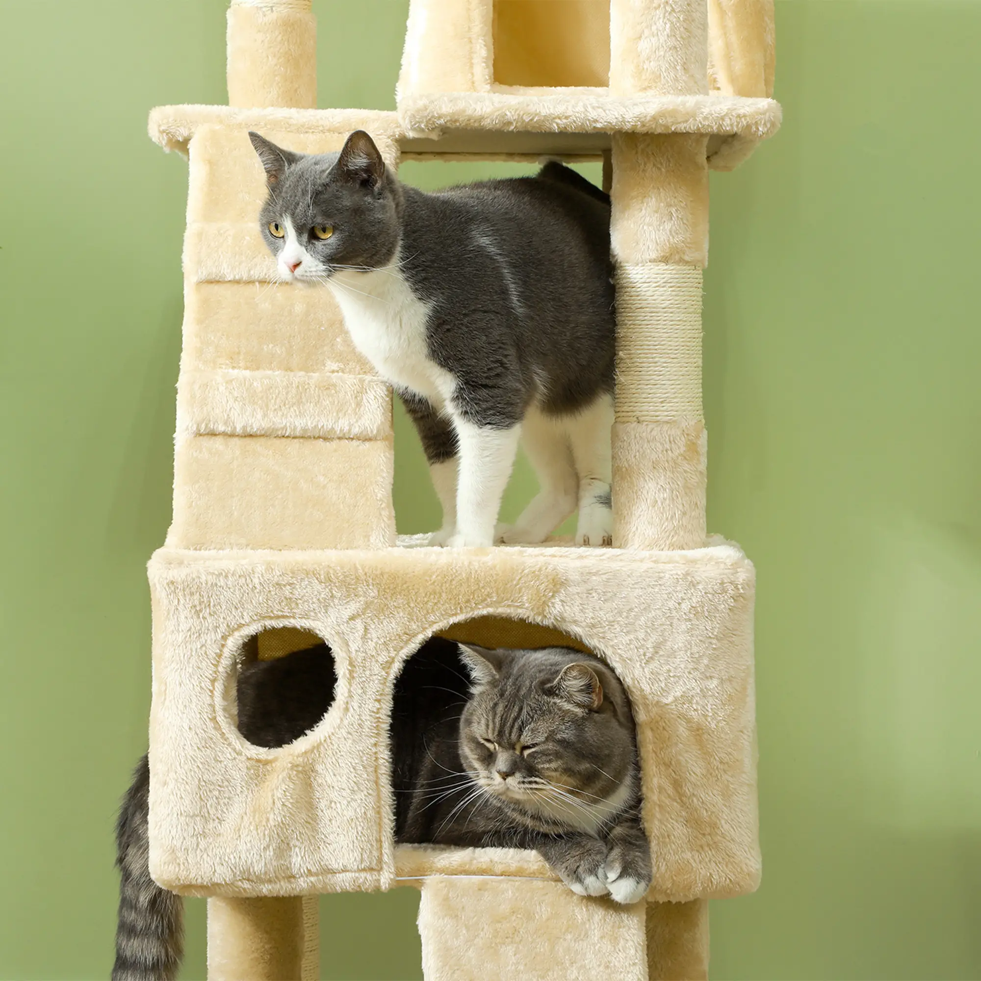 68-Inch Multi-Level Cat Scratching Tree, Activity Center, Beige - Image 9