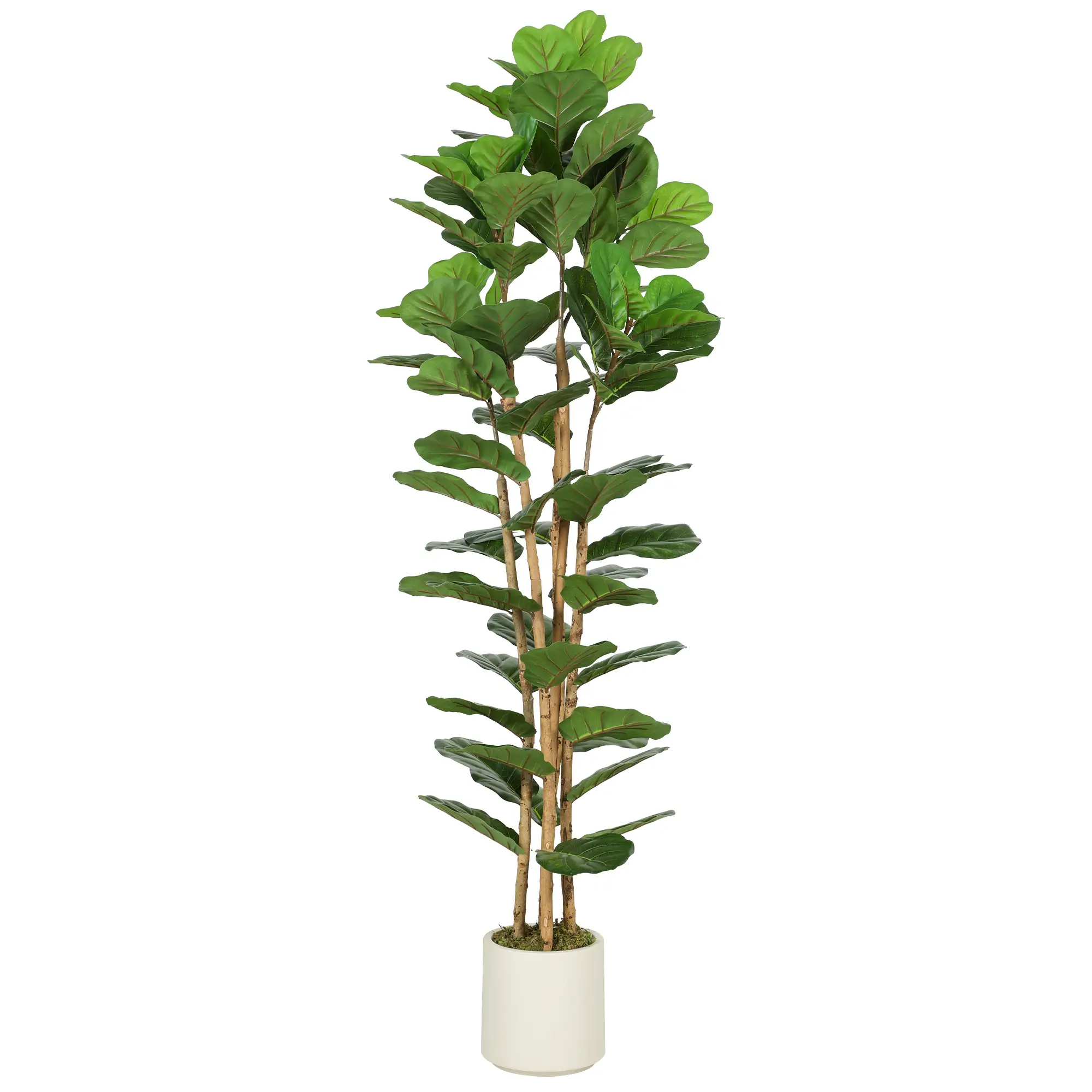 6FT Artificial Fiddle Leaf Fig Tree, Fake Potted Tree, Green - Image 11