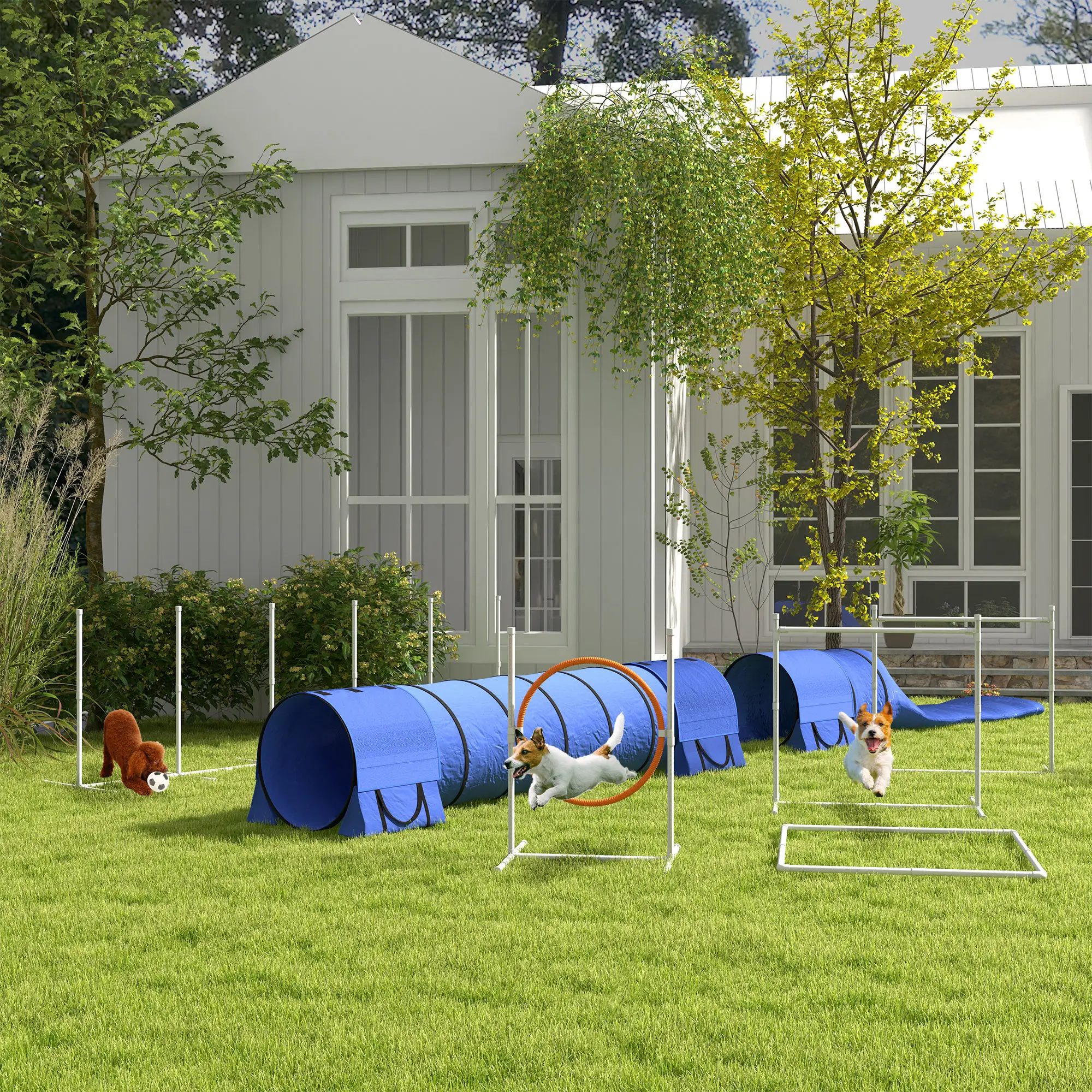 7 Pcs Dog Agility Kit, Tunnels, Weave Poles, Adjustable Hurdles, Blue - Image 8