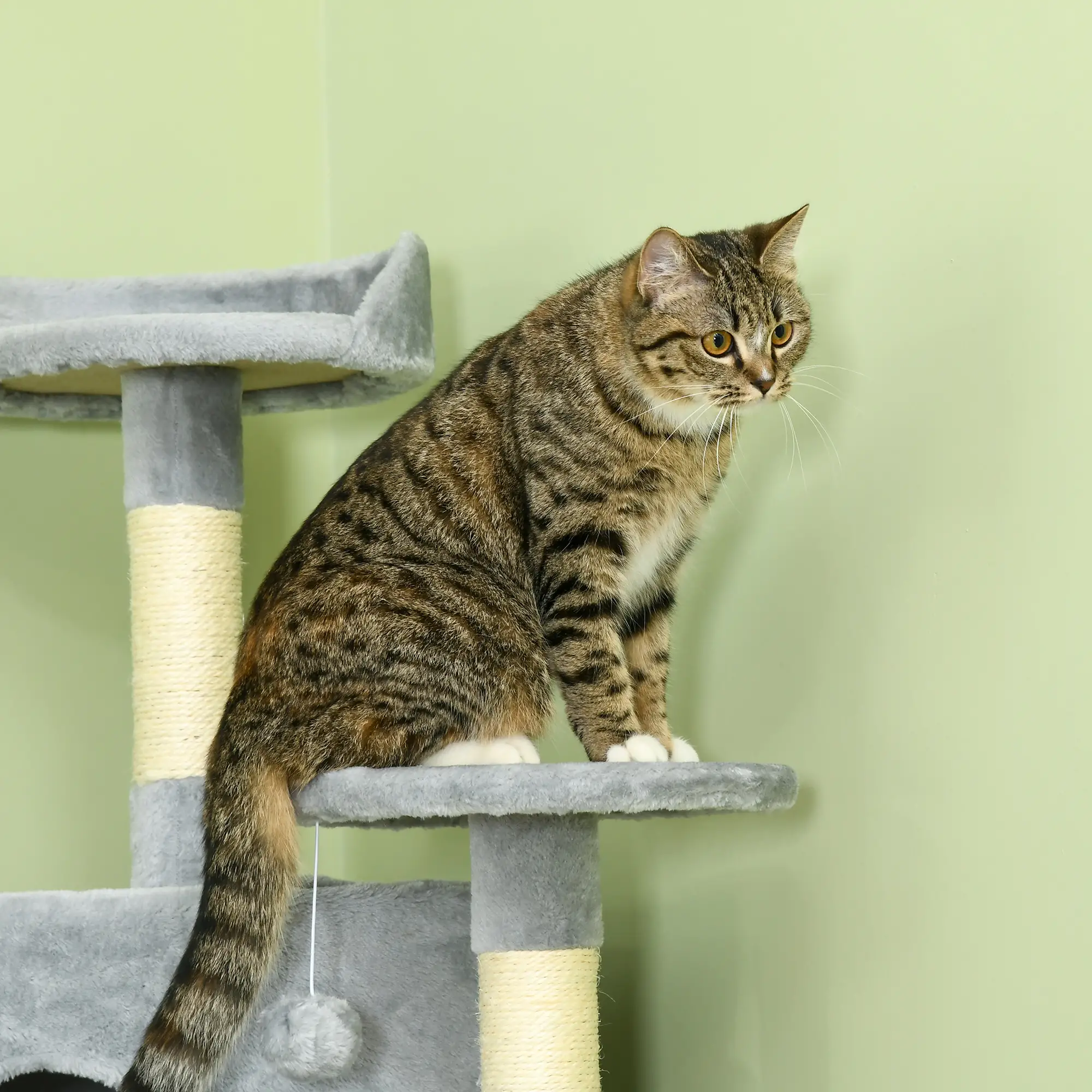 79 Cat Tree, Multi-Level with Two Condos, Scratching Posts, Hammocks, Dark Gray - Image 10