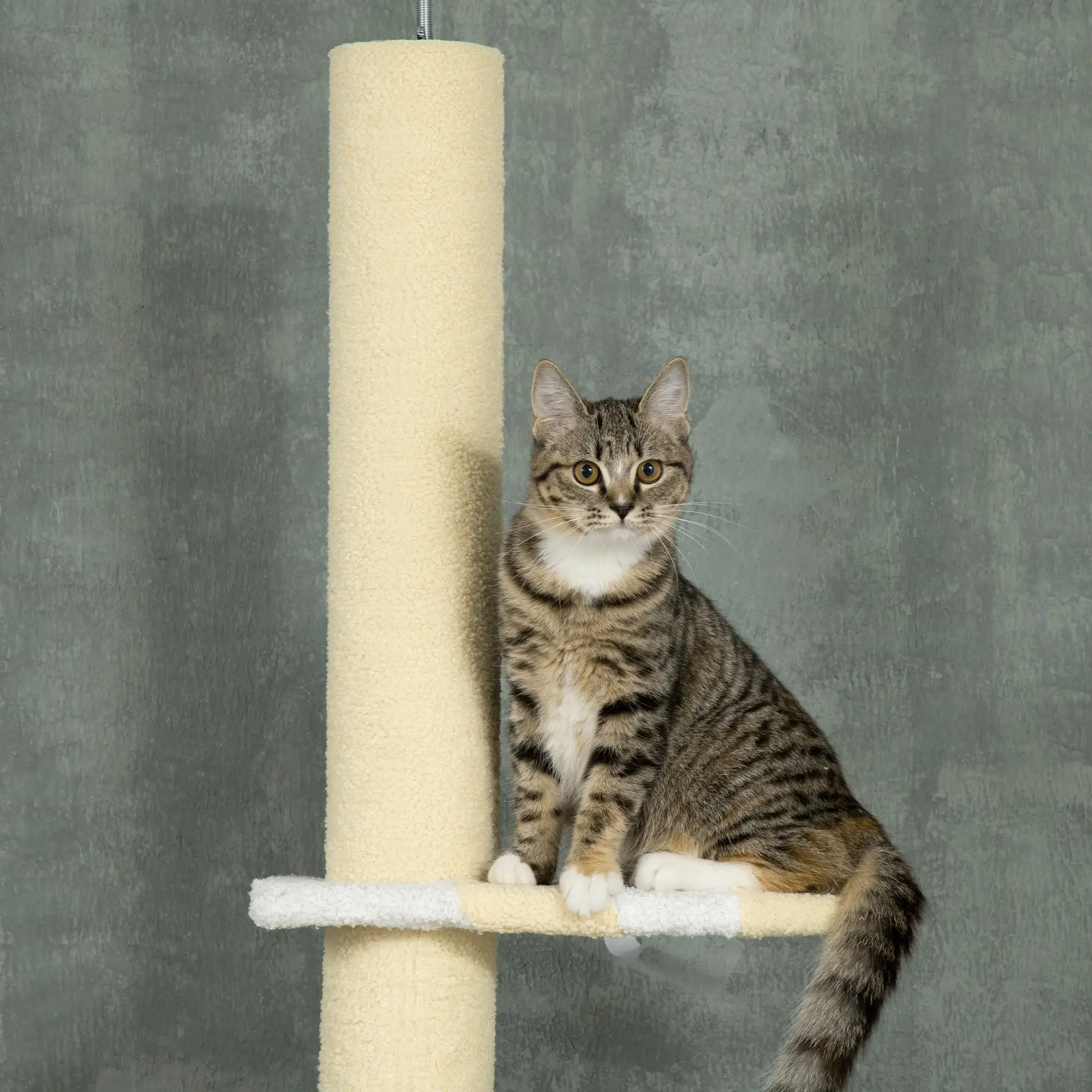 87"-102" Cat Tree, Sisal Scratching Posts, Anti-Tip Kit, Yellow - Image 9