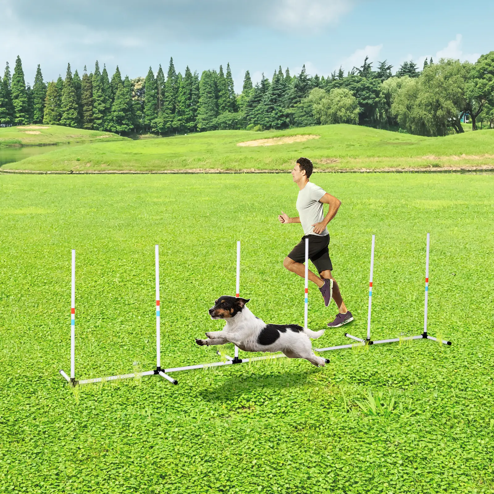 Adjustable Dog Agility Set, Weave Poles, Storage Bag, White - Image 2