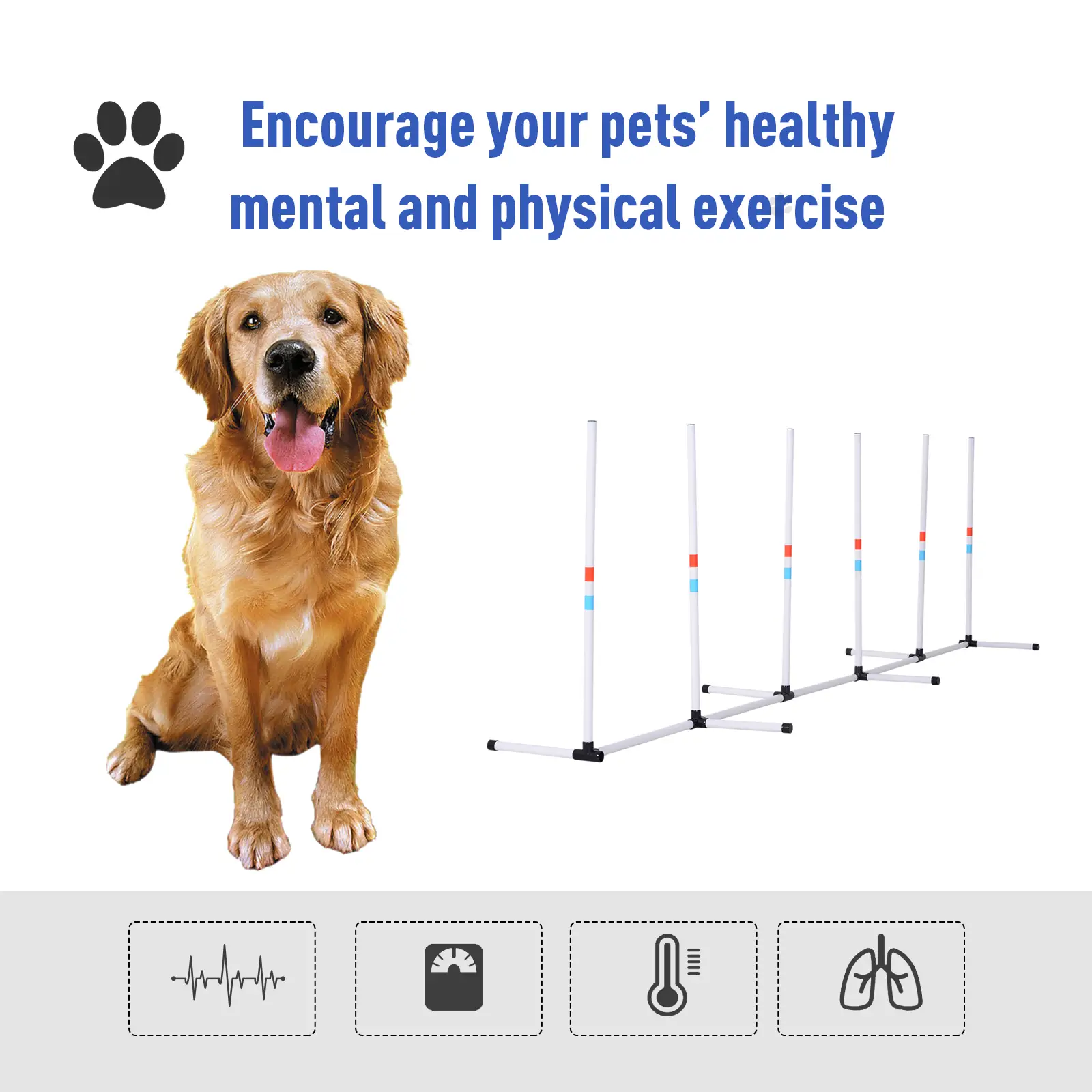 Adjustable Dog Agility Set, Weave Poles, Storage Bag, White - Image 6