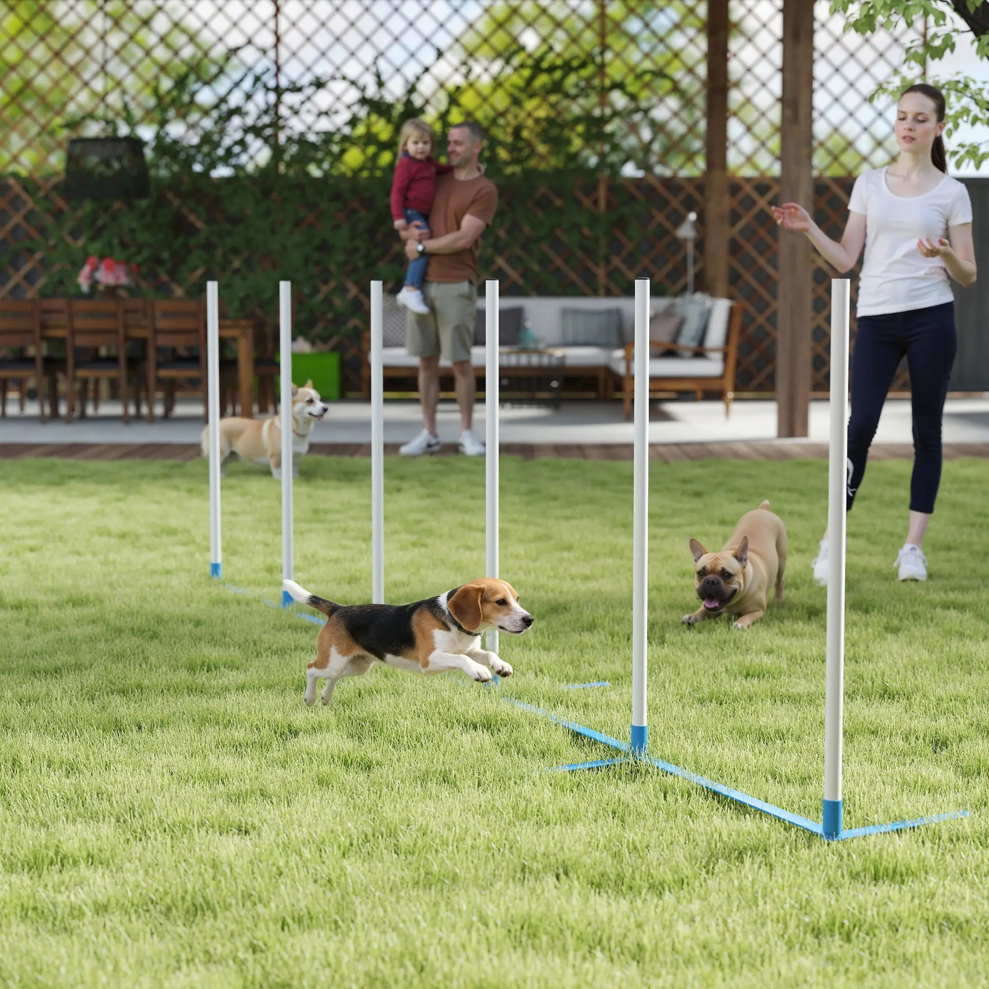 Adjustable Dog Agility Training Set, Weave Poles, Storage Bag, Blue and White - Image 8