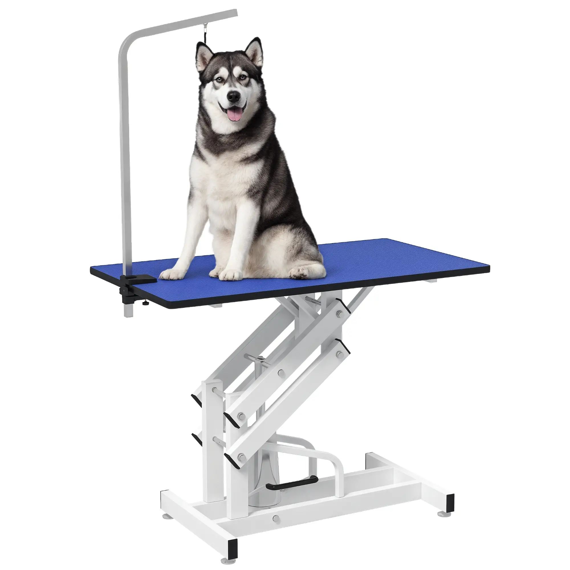 Adjustable Dog Grooming Table With Arm, Noose, Non-Slip, Blue - Image 11