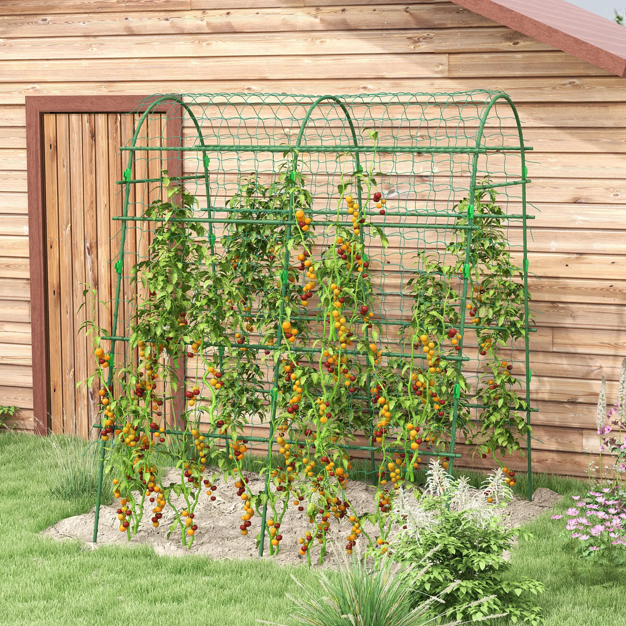 Arched Garden Trellis, Metal Cucumber Plant Support, 57" x 66" x 81" - Image 2