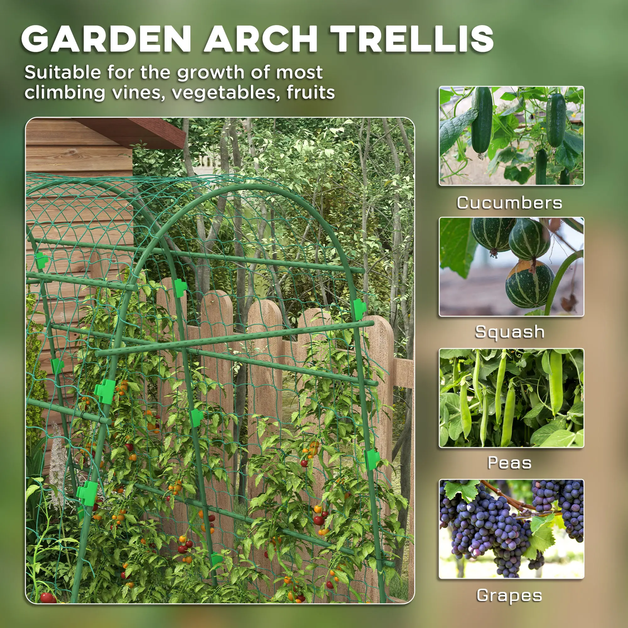Arched Garden Trellis, Metal Cucumber Plant Support, 57" x 66" x 81" - Image 4