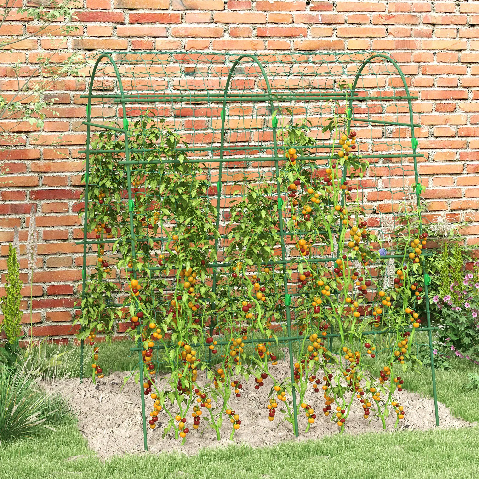 Arched Garden Trellis, Metal Cucumber Plant Support, 57" x 66" x 81" - Image 8